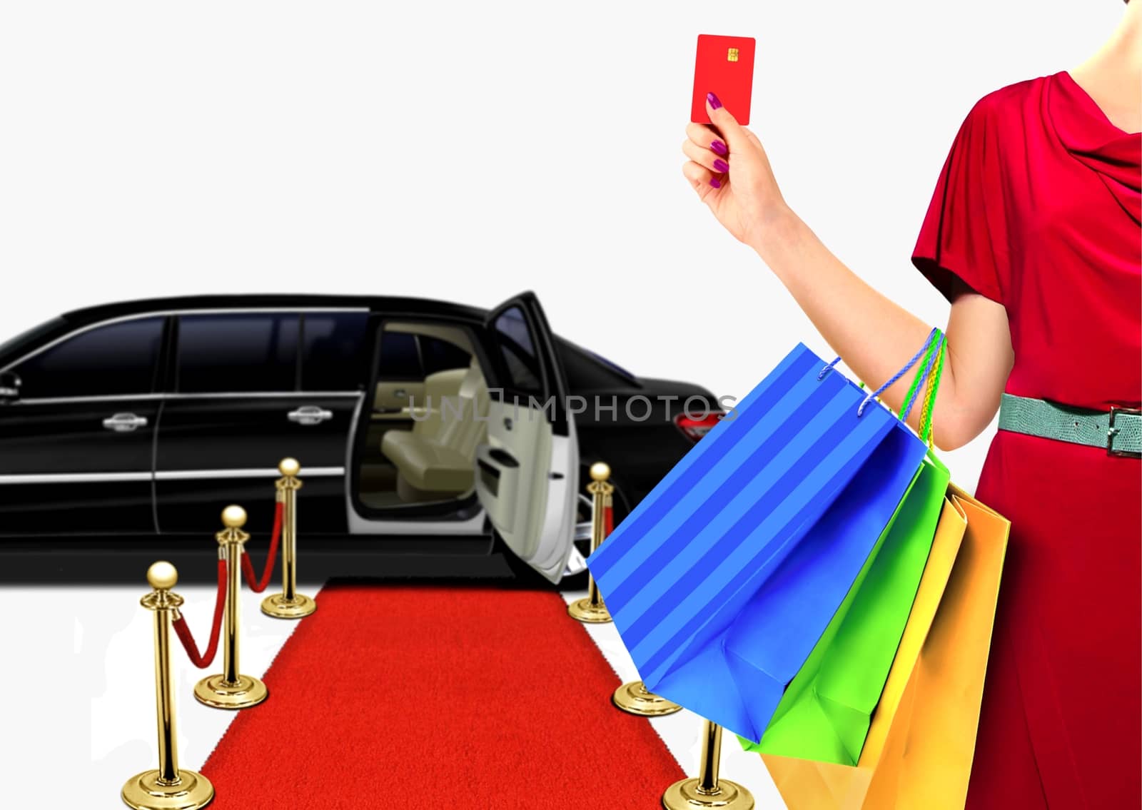 Women with Luxury Lifestyle Shopping
