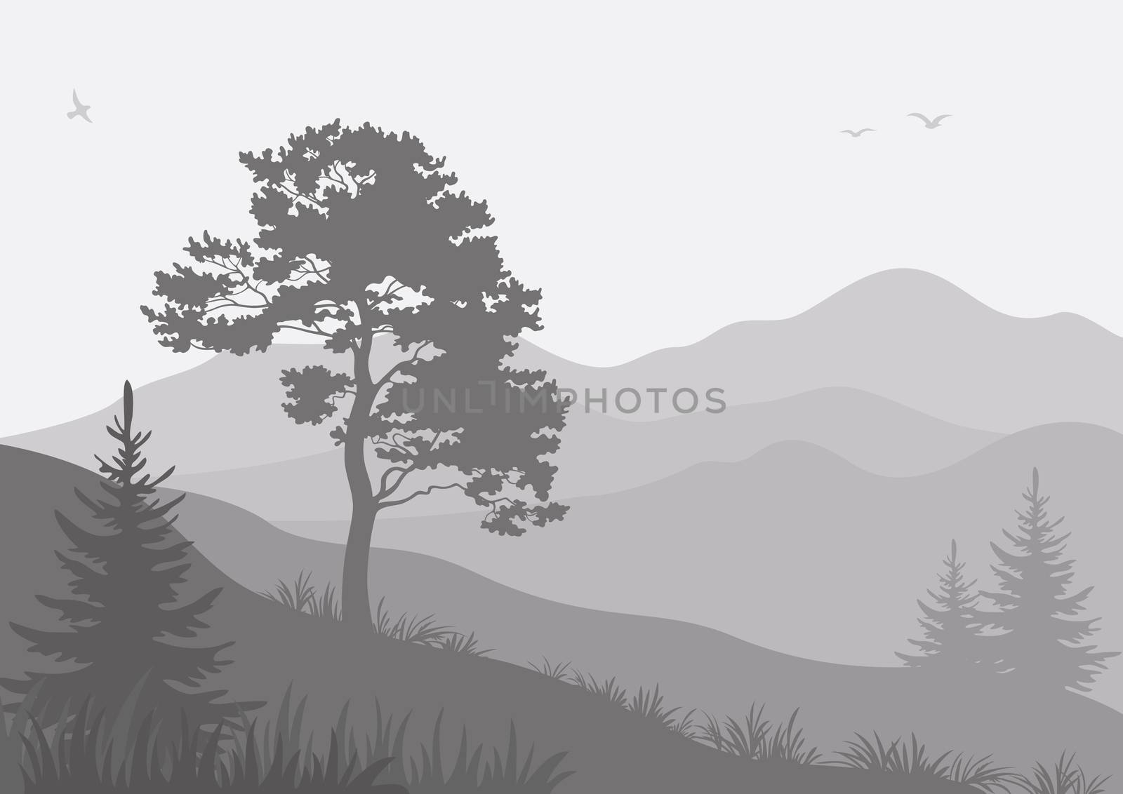 Mountain landscape with trees and birds by alexcoolok