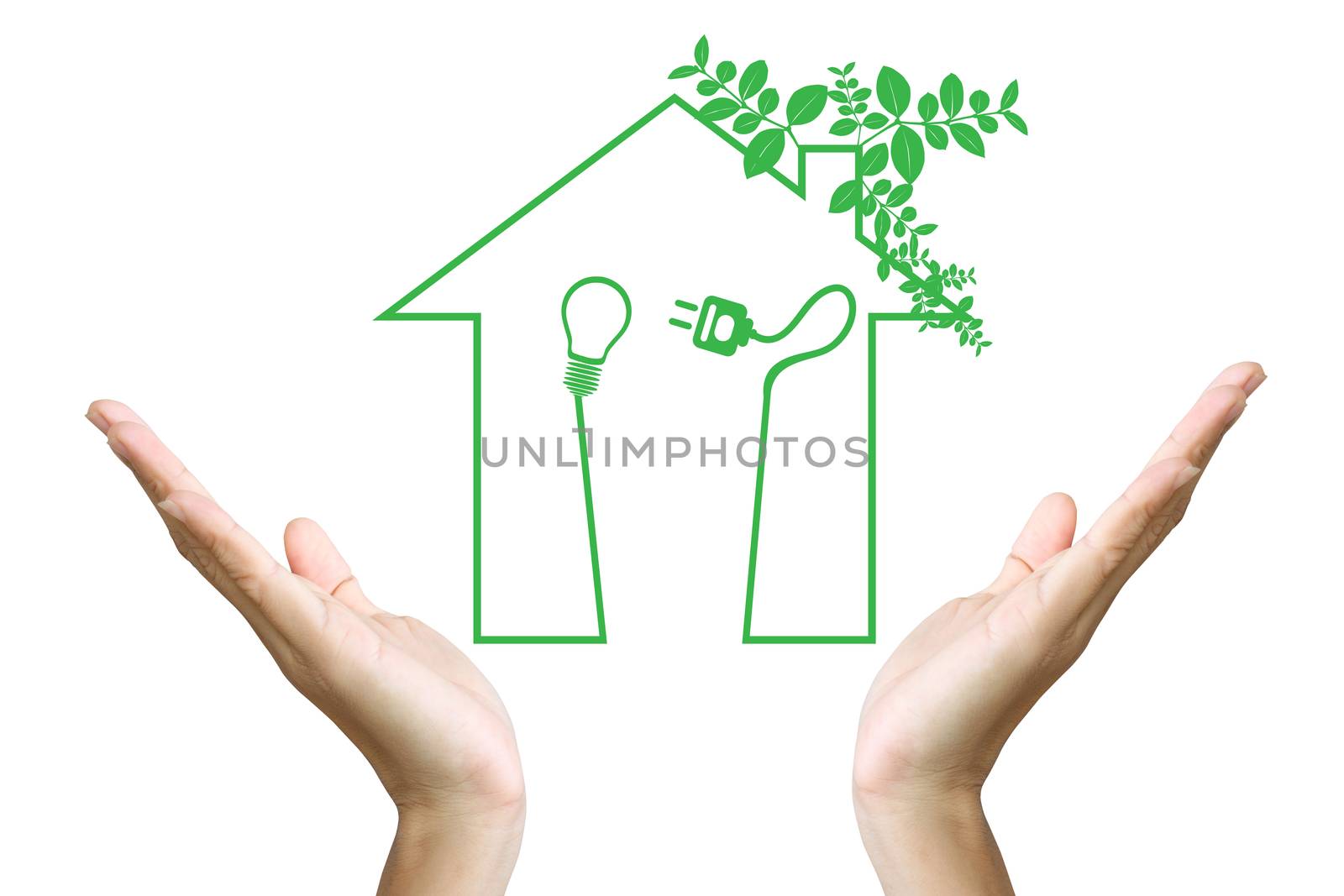 Green house symbol in hand by rufous