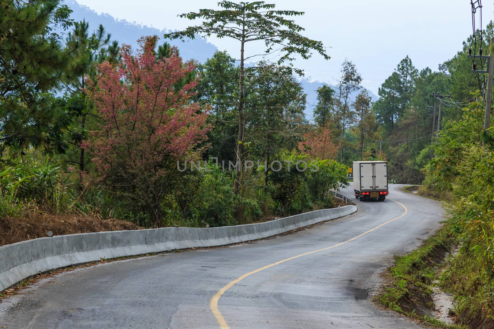 road green nature in many style in the north of thailand 