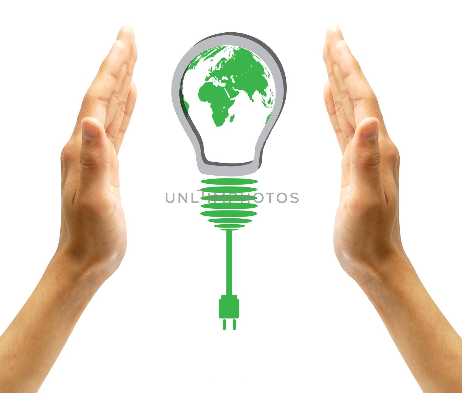 green eco energy concept, plant growing on light bulb by rufous