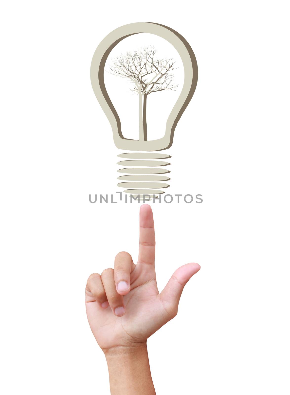 Concept  tree in light bulb symbol of renewable energy  by rufous