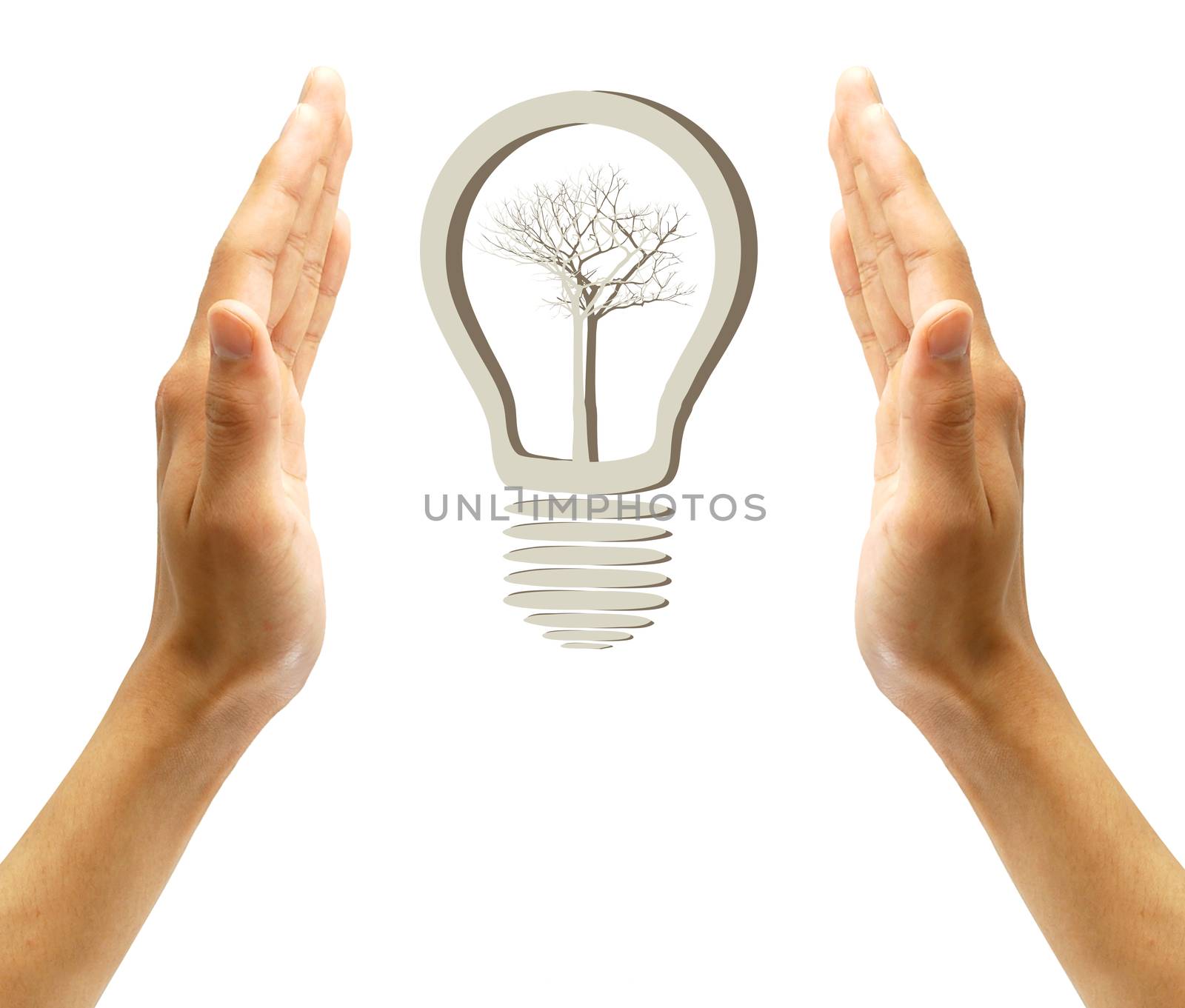  Concept  tree in light bulb symbol of renewable energy  by rufous