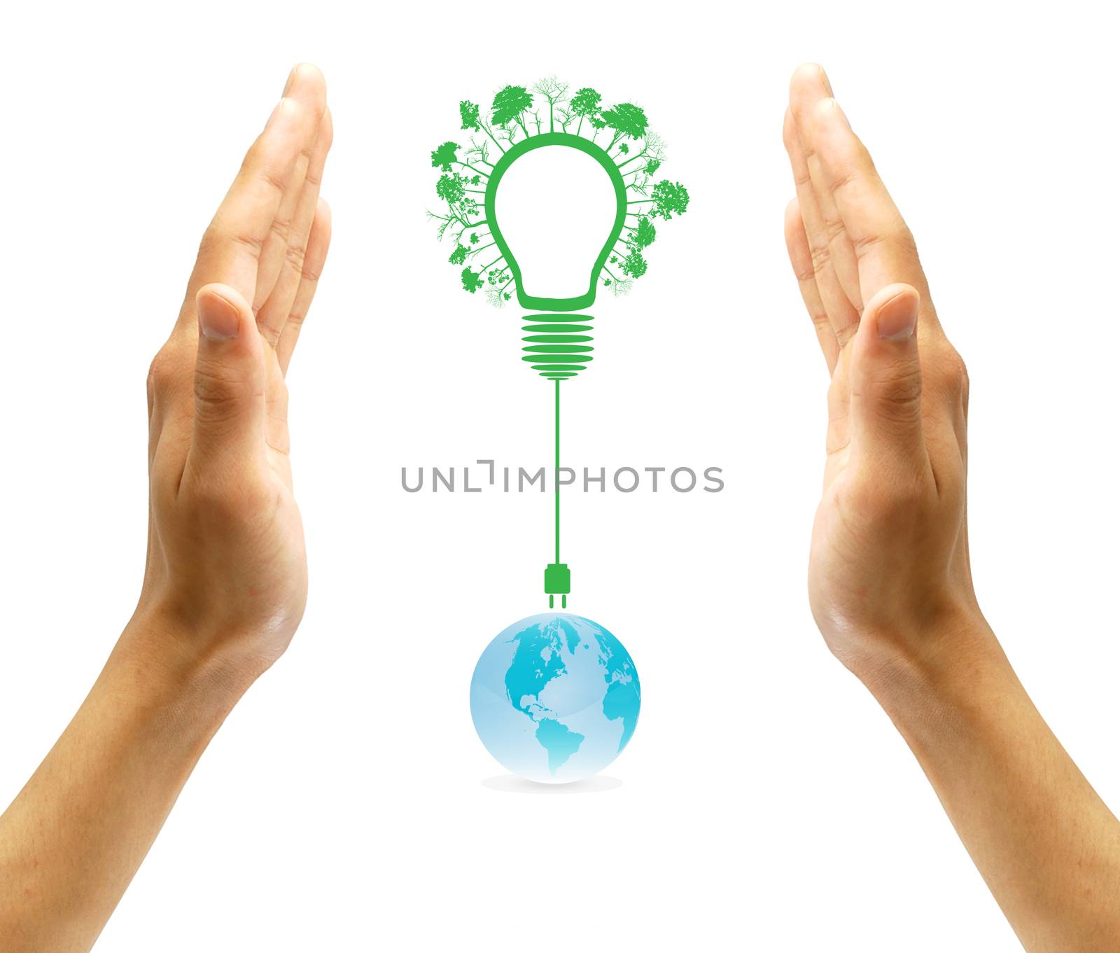 green eco energy concept, plant growing on light bulb by rufous