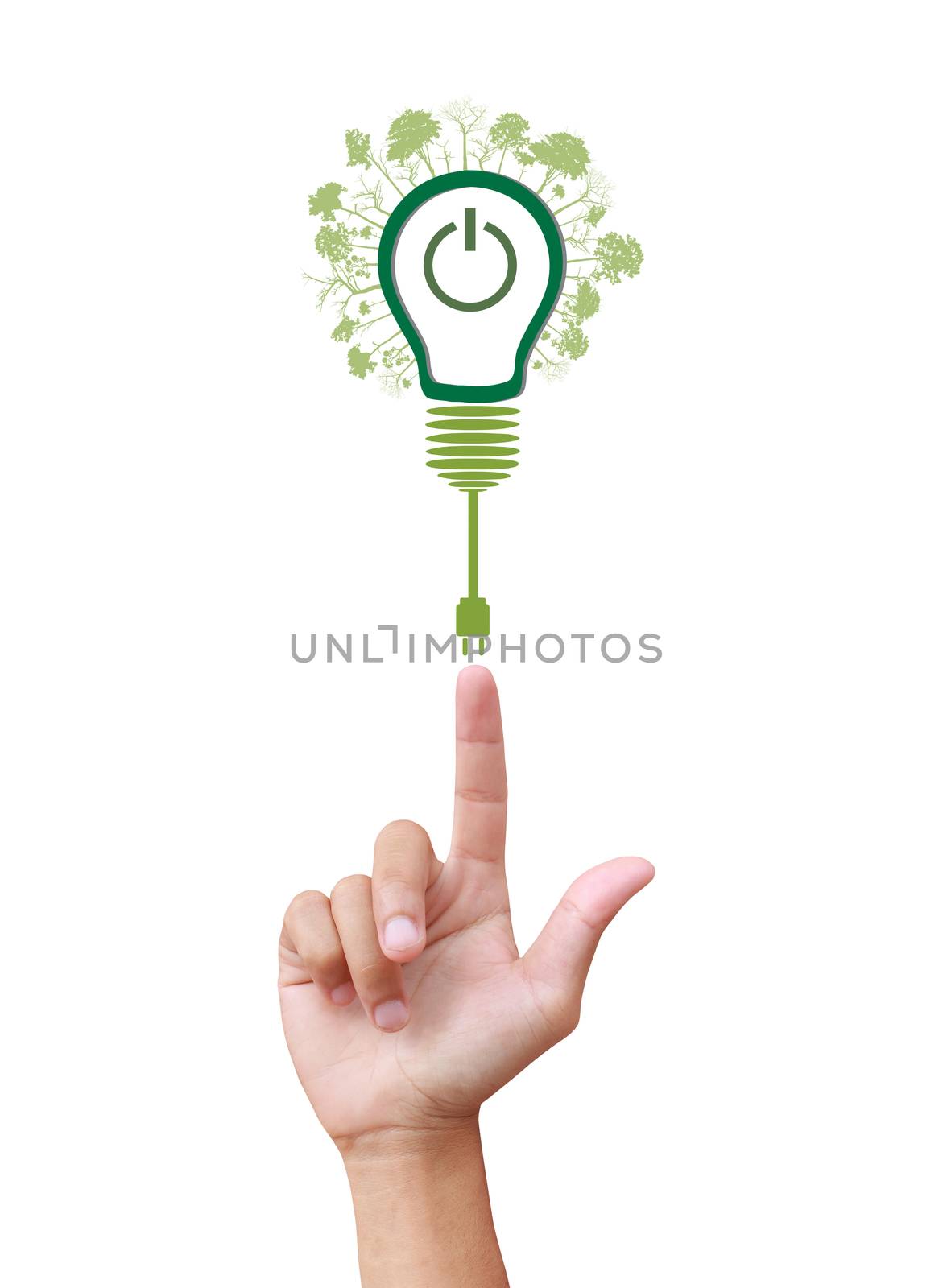 green eco energy concept, plant growing on light bulb by rufous