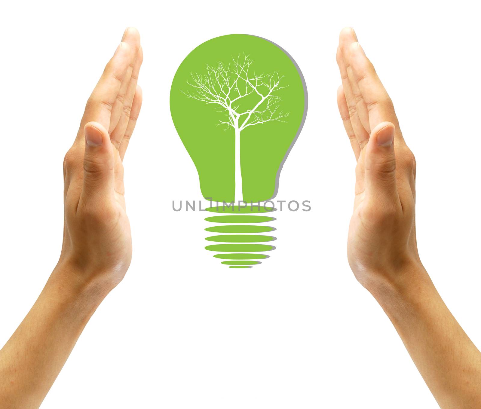 Concept  tree in light bulb symbol of renewable energy  by rufous