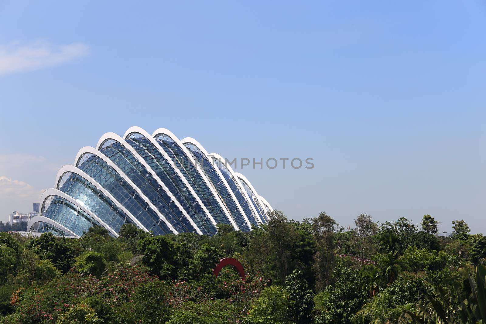 Cloud Forest Dome at Gardens by the Bay by rufous