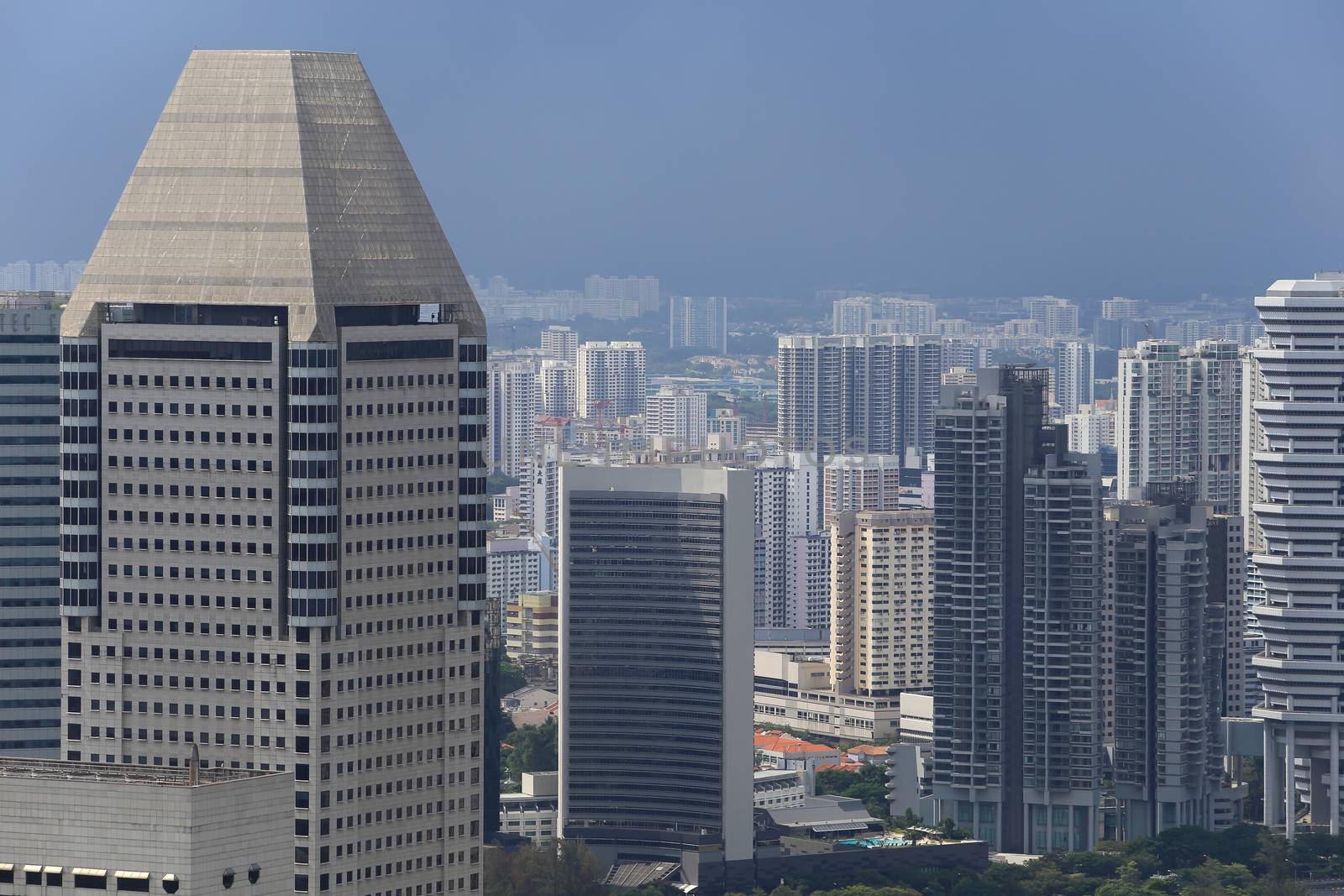 Bird's eye view of Singapore by rufous