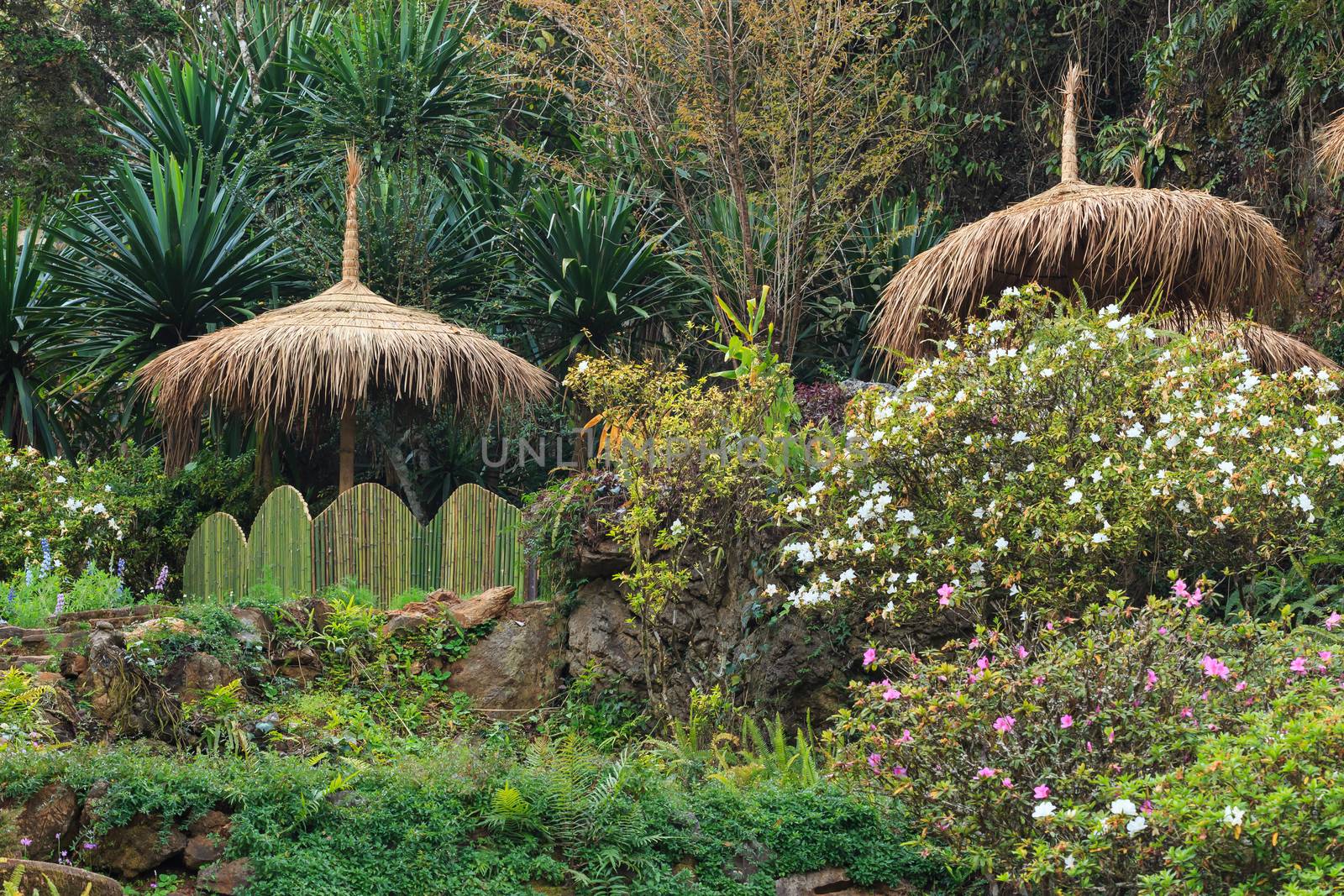 beauty garden scene with many color plants