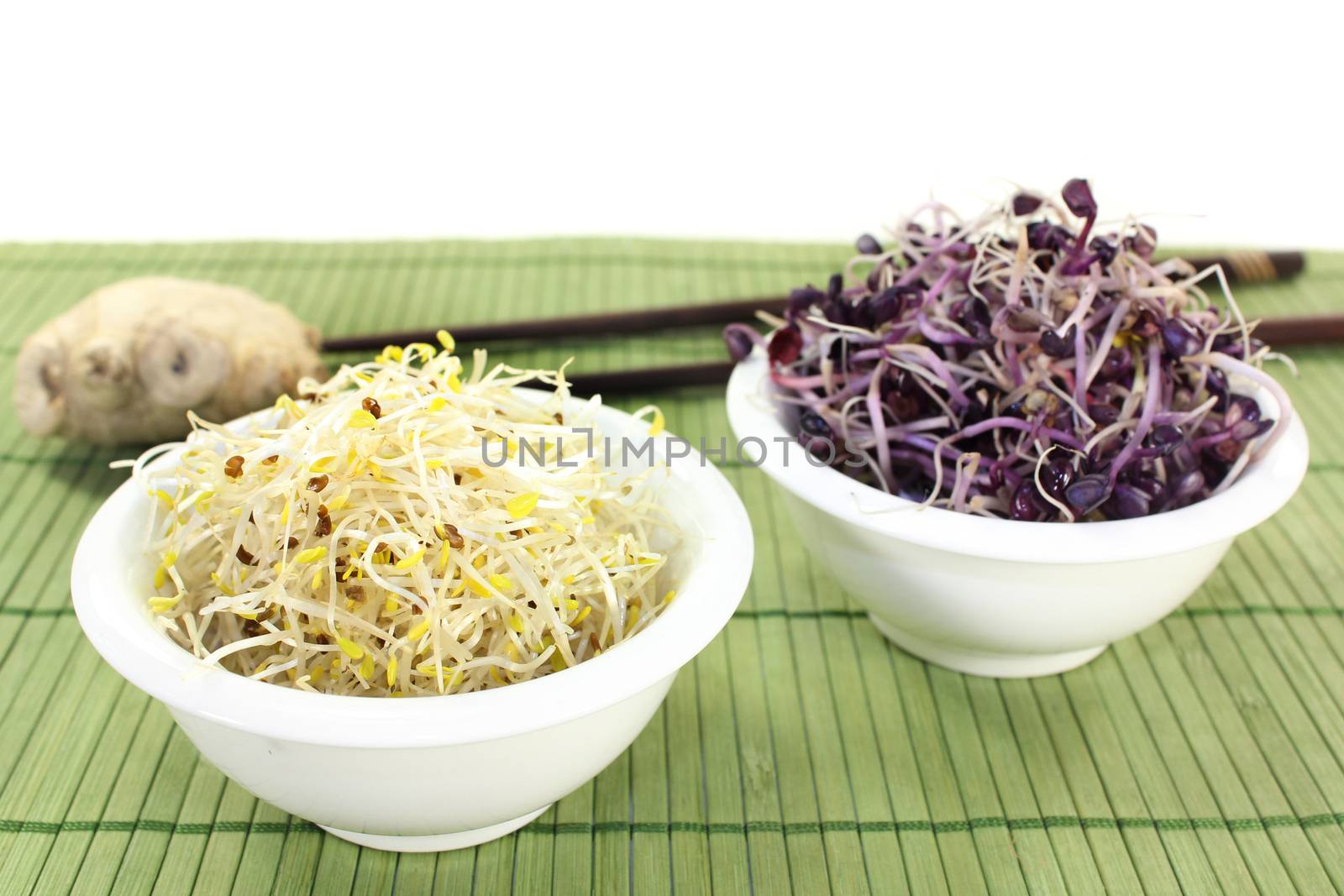 two bowls with alfalfa sprouts and radish sprouts