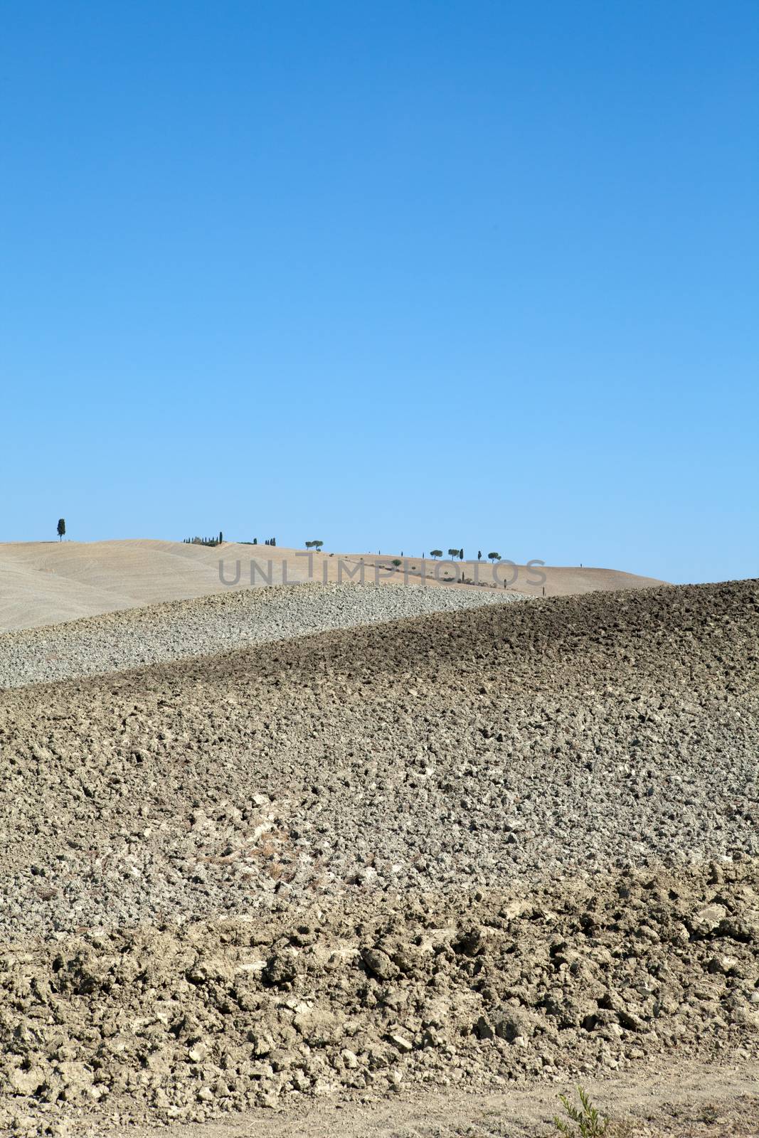 The landscape of the  Tuscany. Italy by wjarek