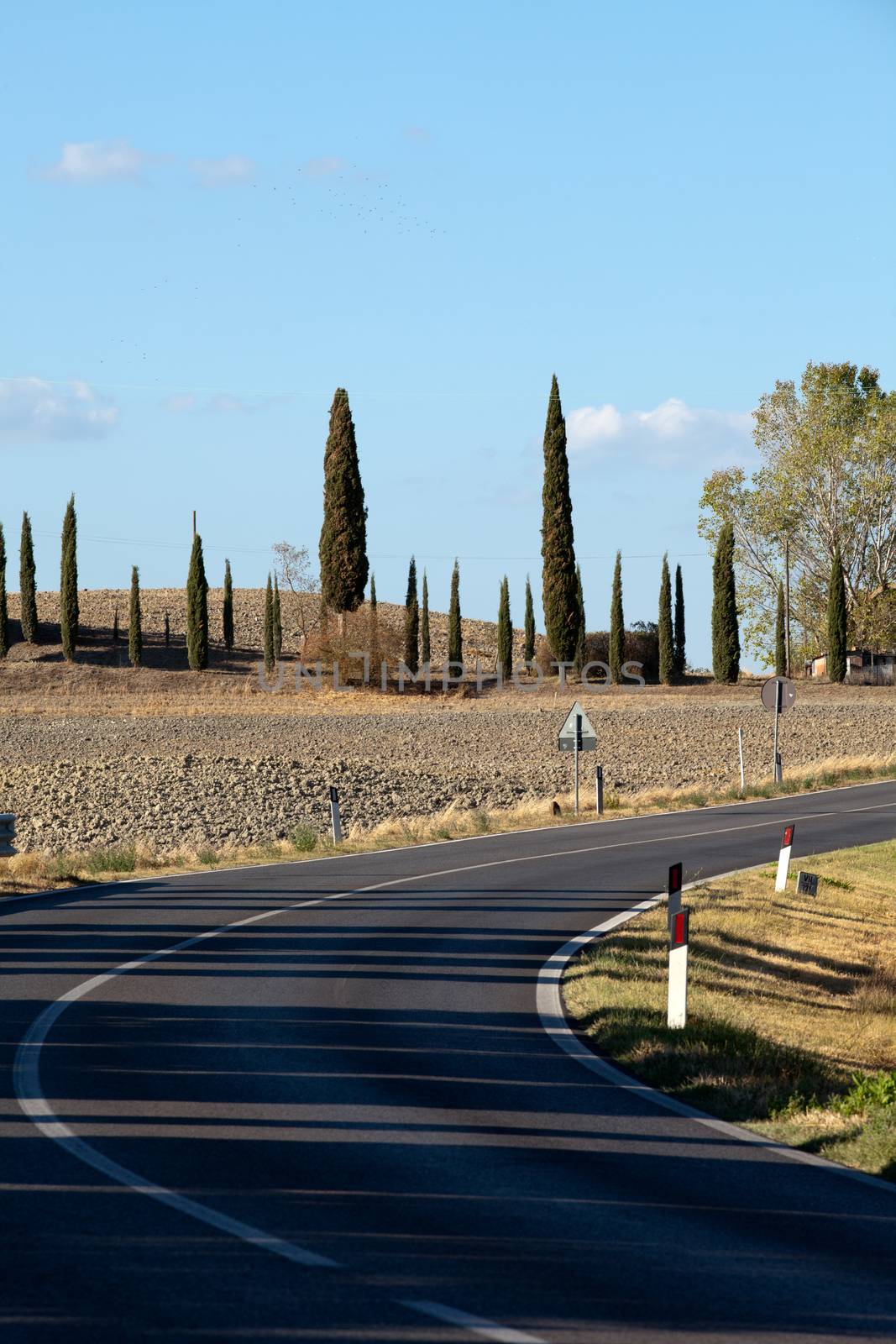 The landscape of the  Tuscany. Italy