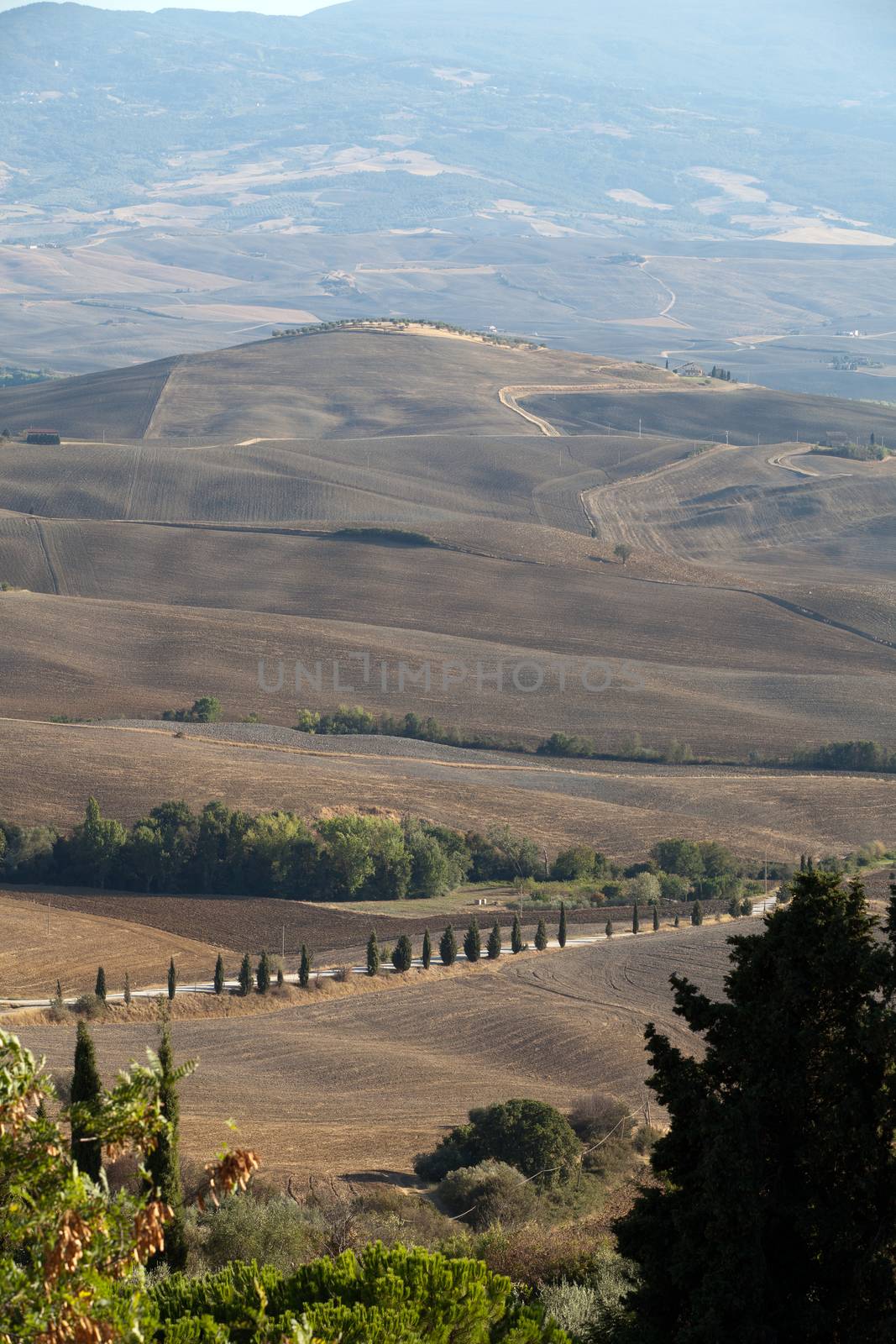 The landscape of the  Tuscany. Italy