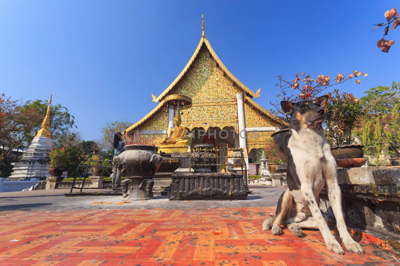 Beautiful Thai temple style and buddhist art decoration in Thailand.