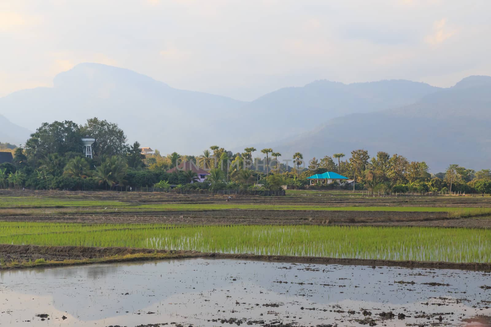 beautiful pictures of nature in Vietnam