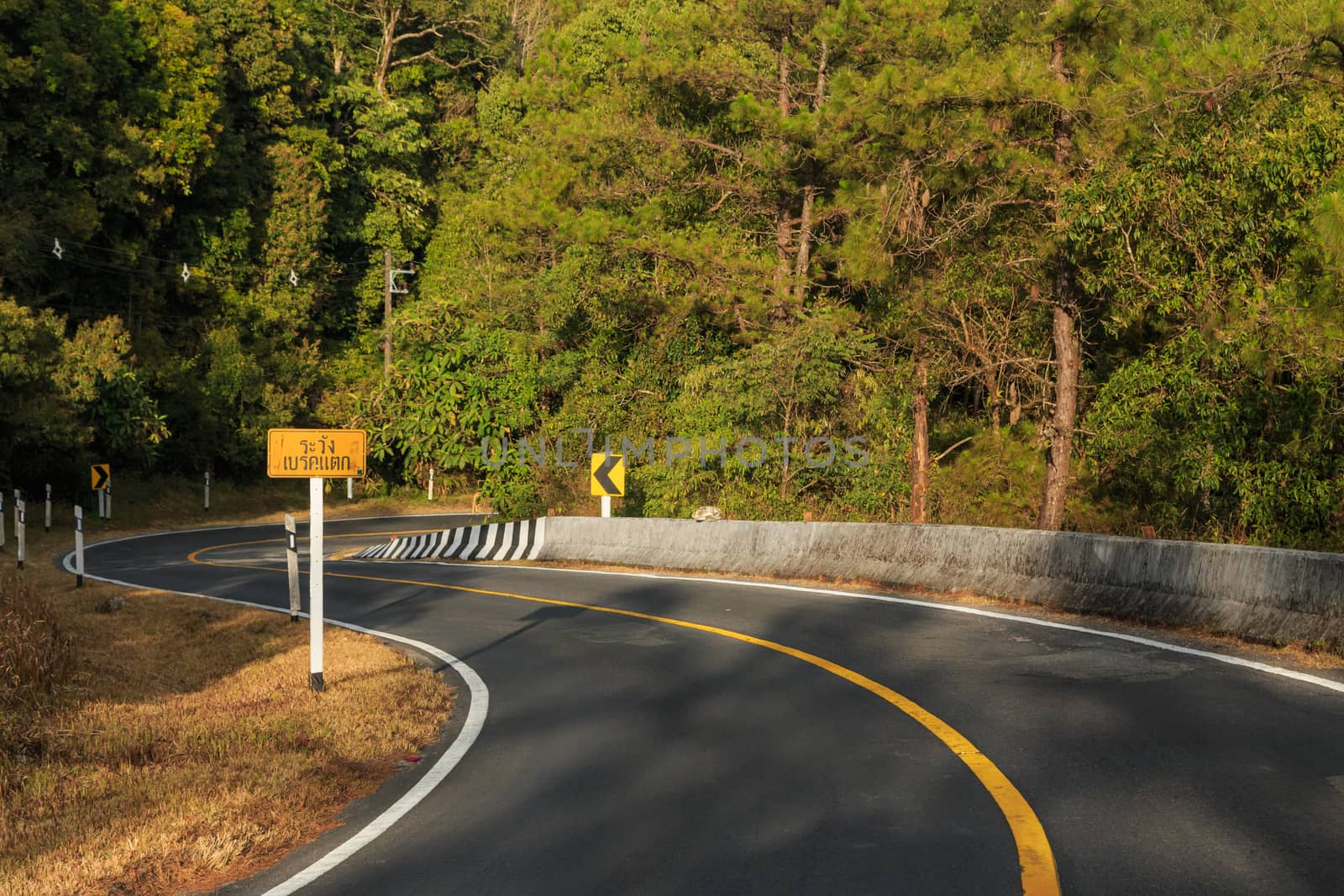 road green nature in many style in the north of thailand 