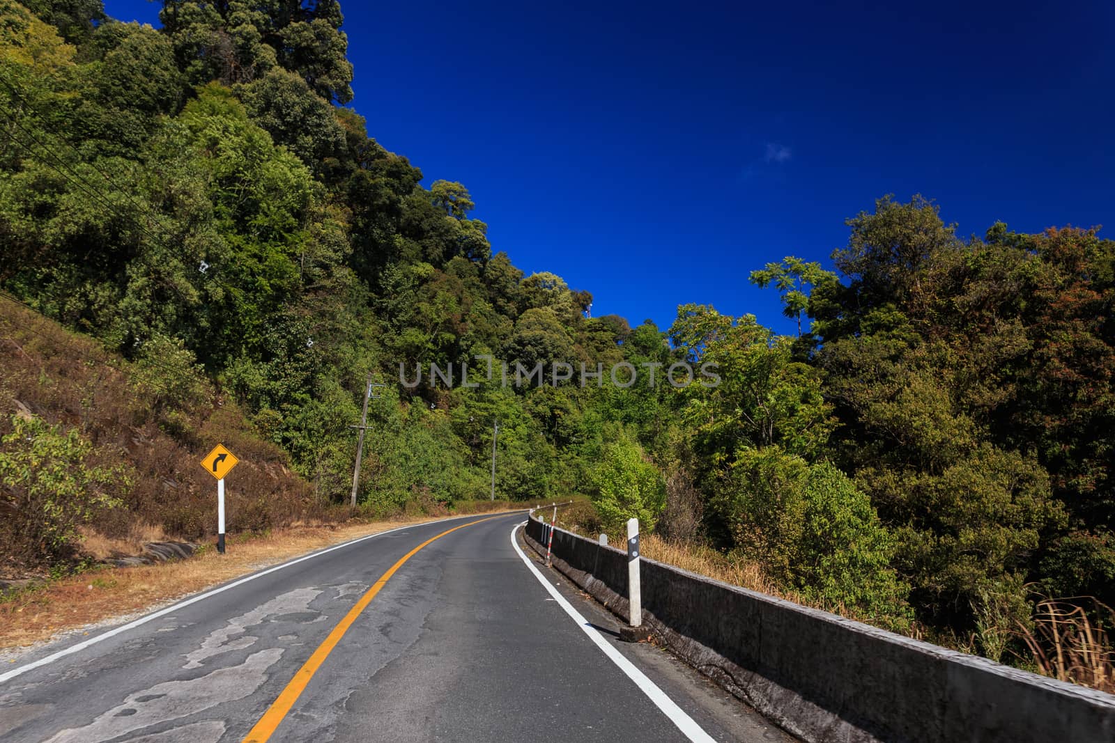 road green nature in many style in the north of thailand 