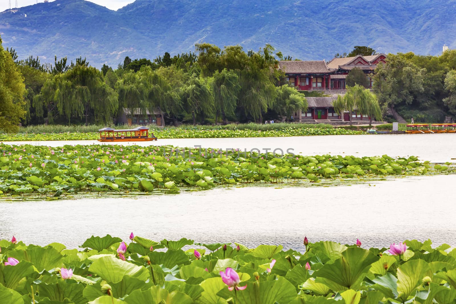 Lotus Garden Boat Buildings Summer Palace Beijing, China by bill_perry