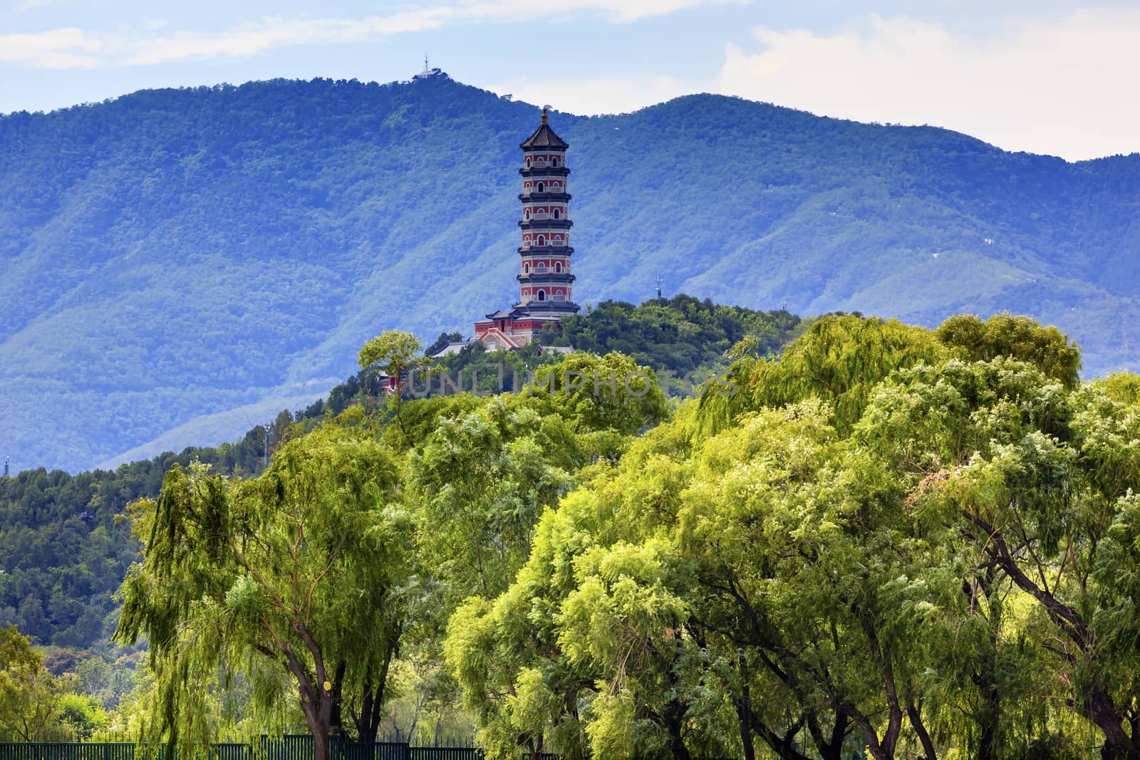 Yue Feng Pagonda Willow Trees Summer Palace Beijing China