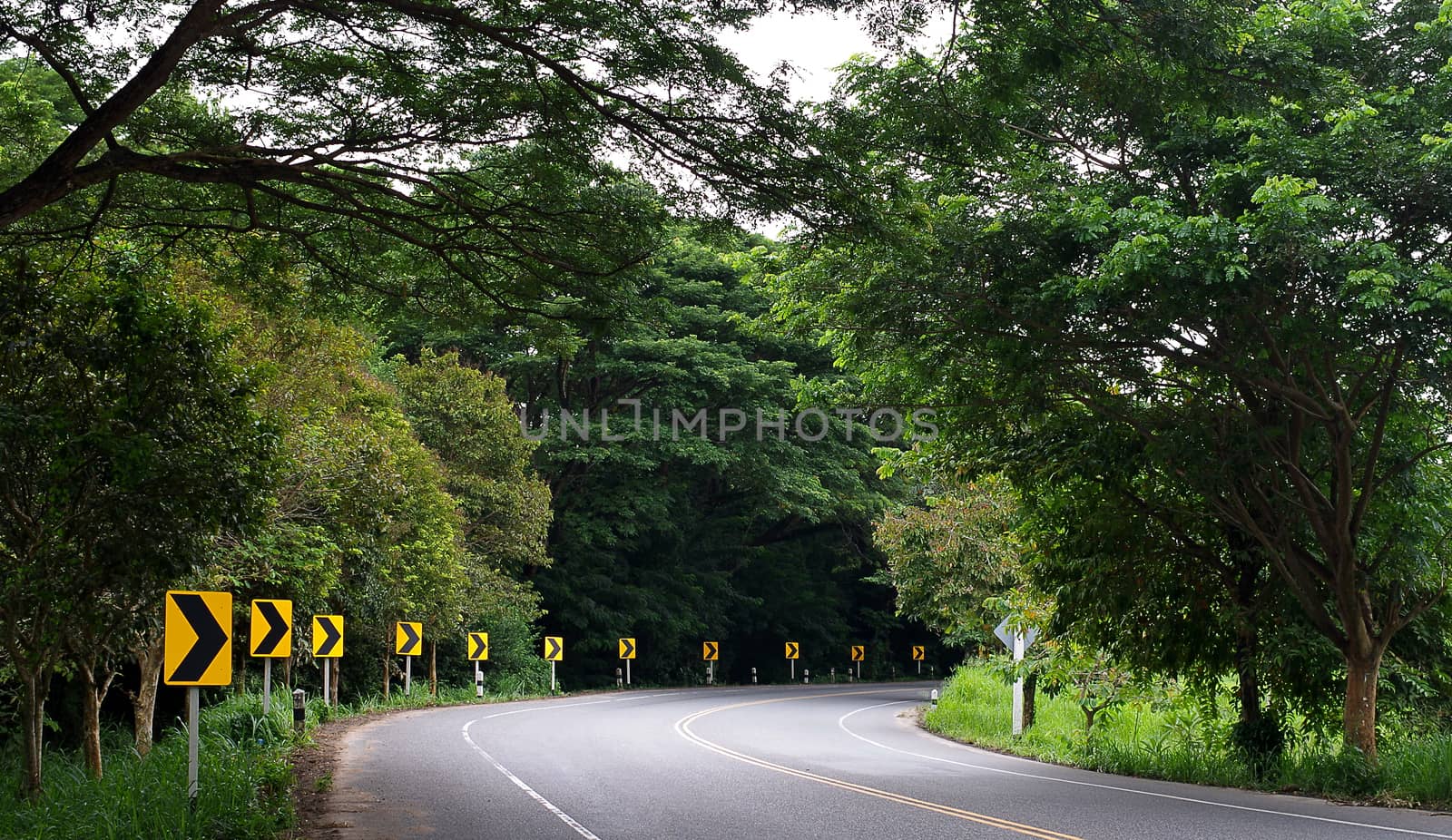 Road in forest, Thailand by pixbox77