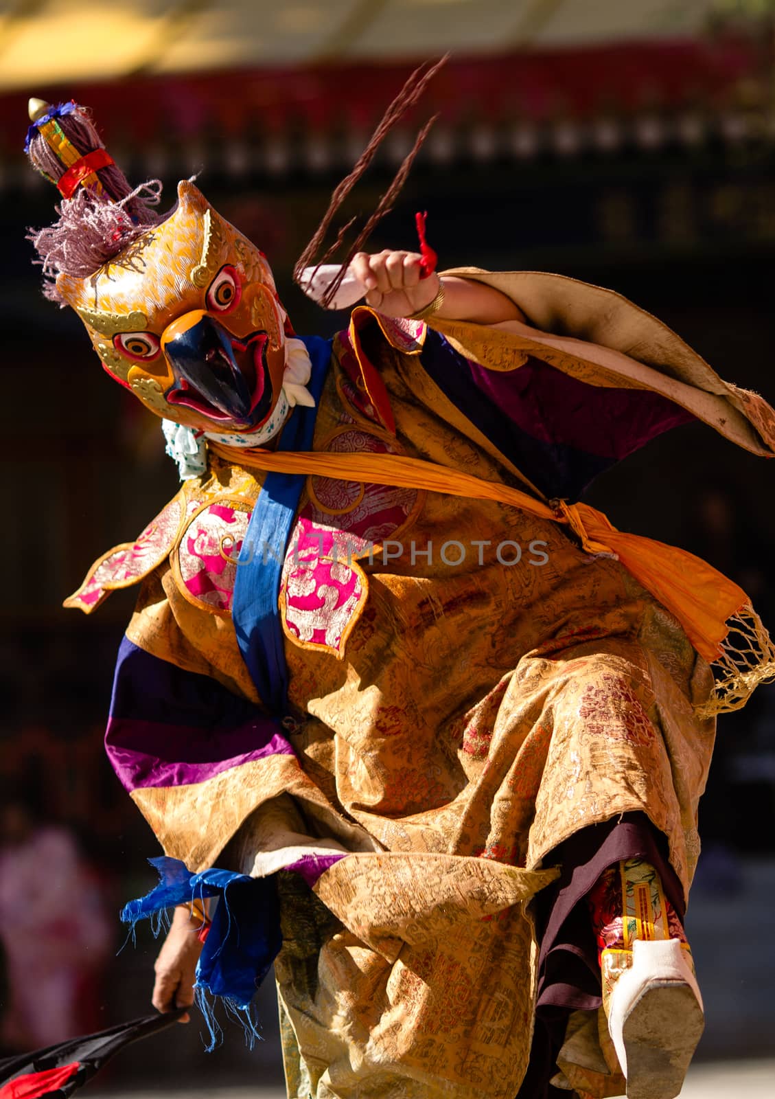 The dancer in mask performing religious Cham dance in Ladakh, In by straannick