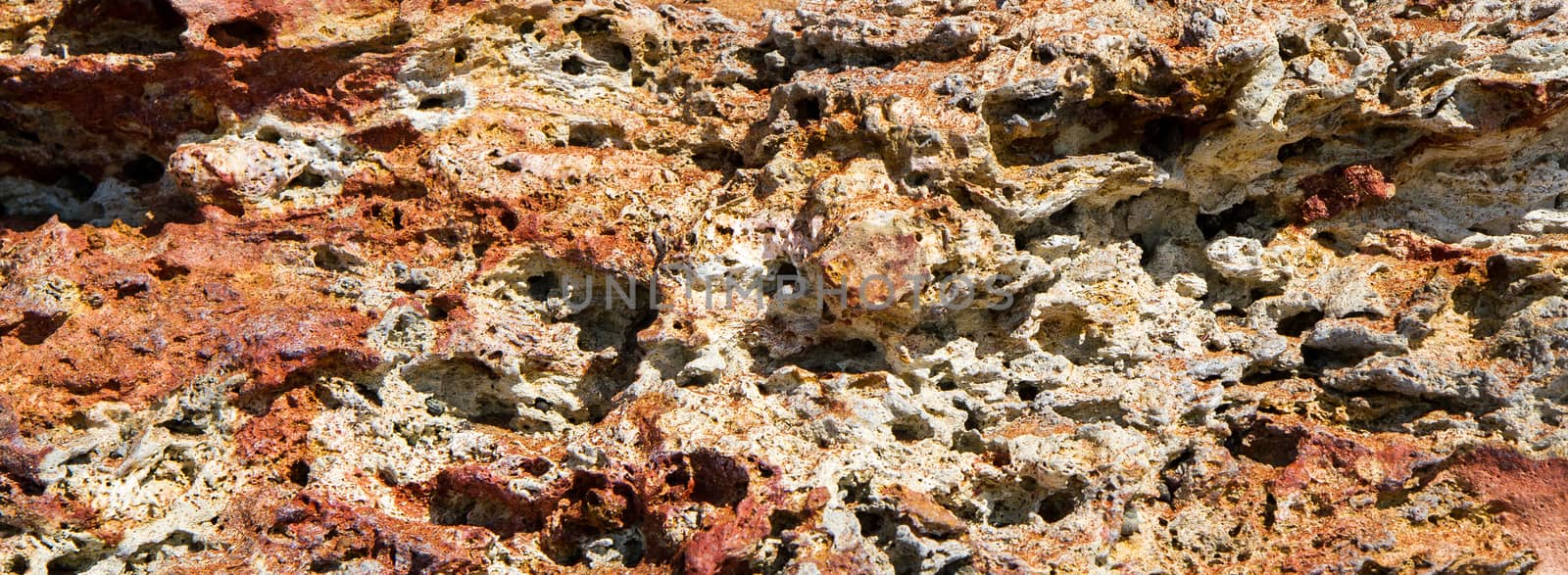 Patterns on the coastal cliffs of red sandstone. by straannick