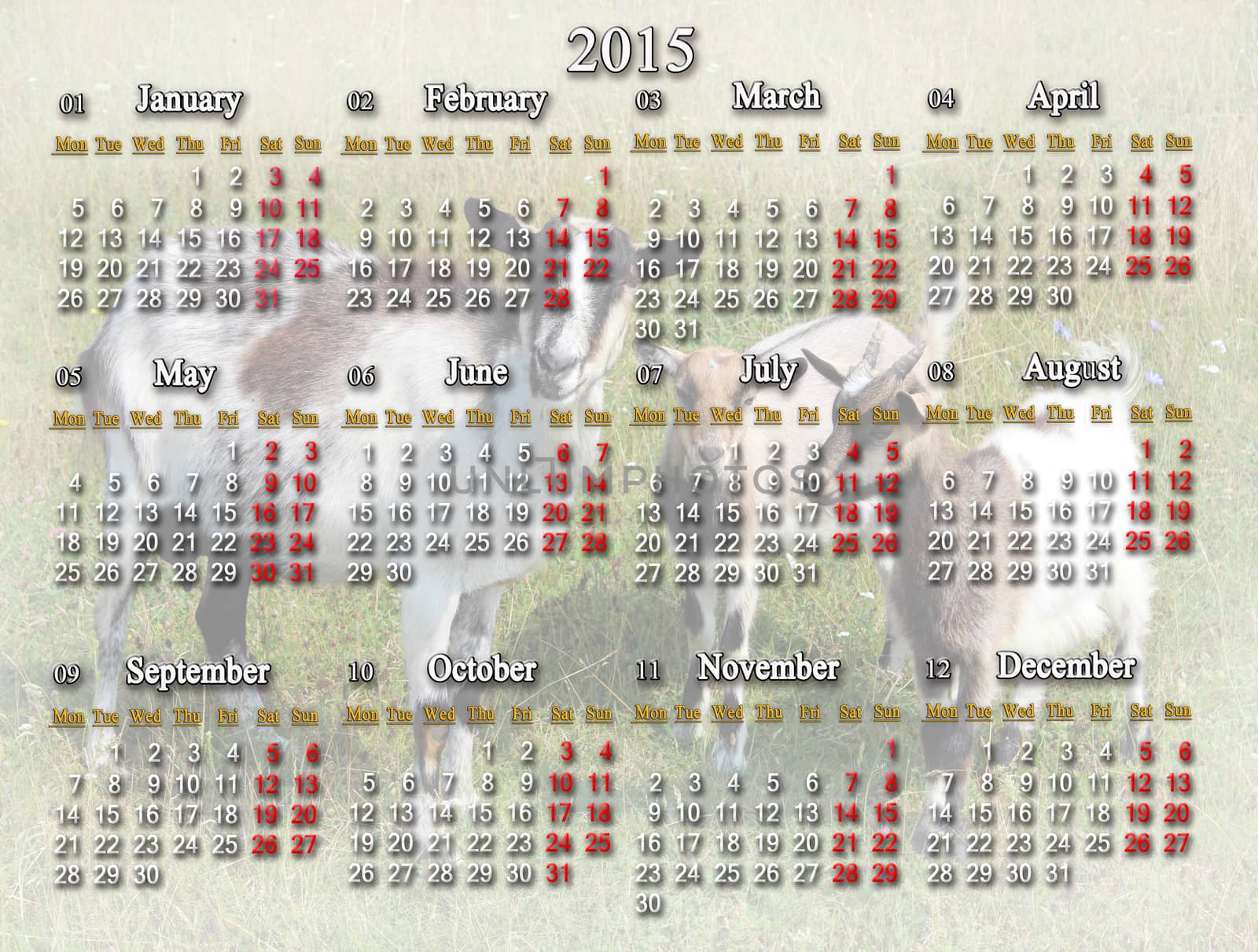 calendar for 2015 year with goats by alexmak