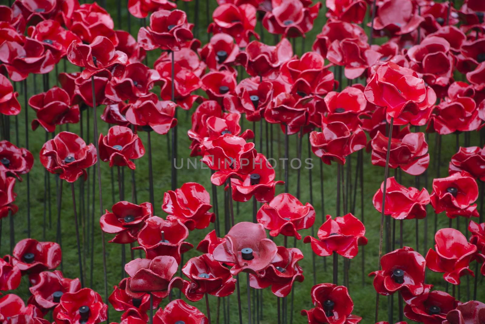 The Blood Swept Lands and Seas of Red installation in the moat of the Tower of London, 2014