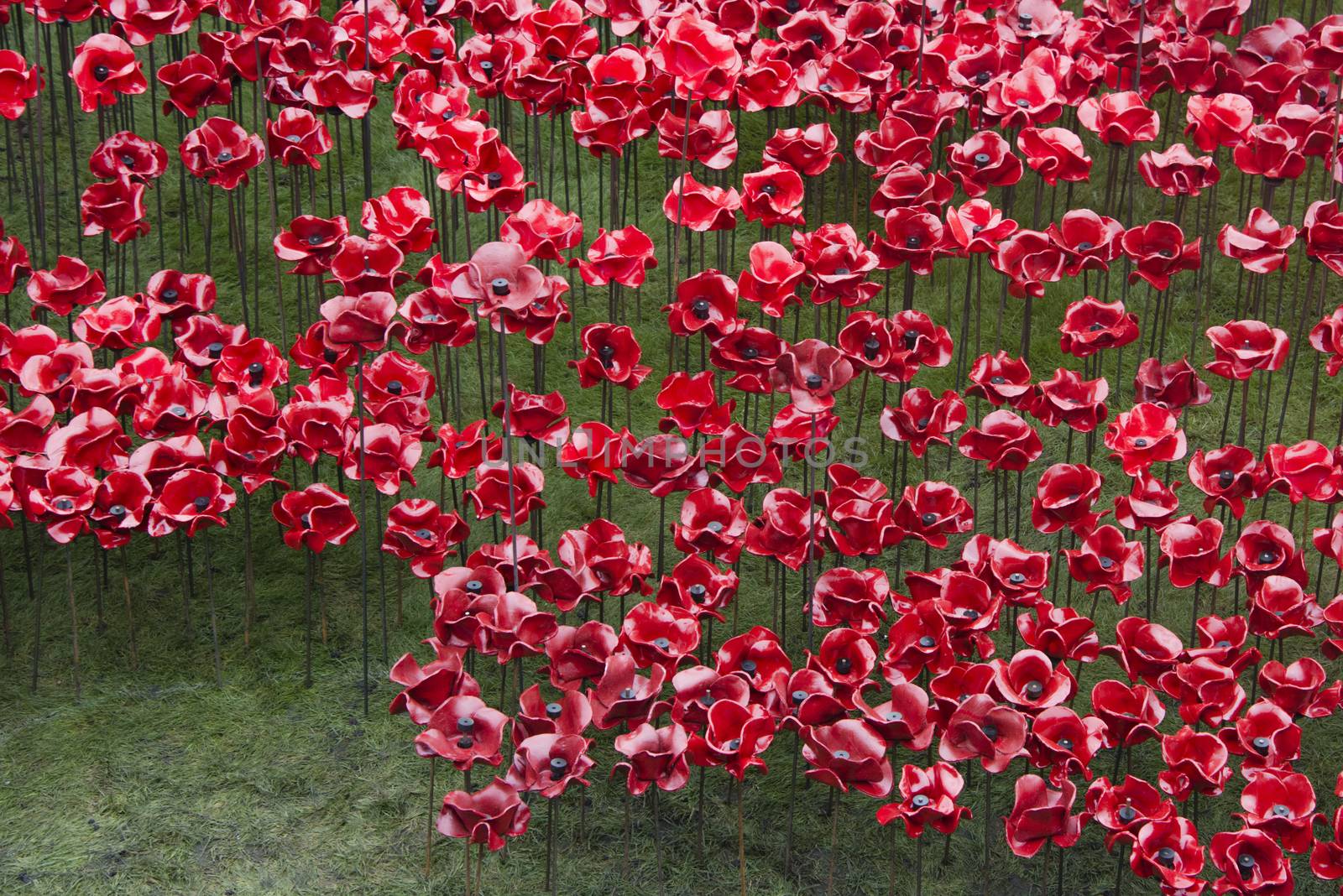 The Blood Swept Lands and Seas of Red installation in the moat of the Tower of London, 2014