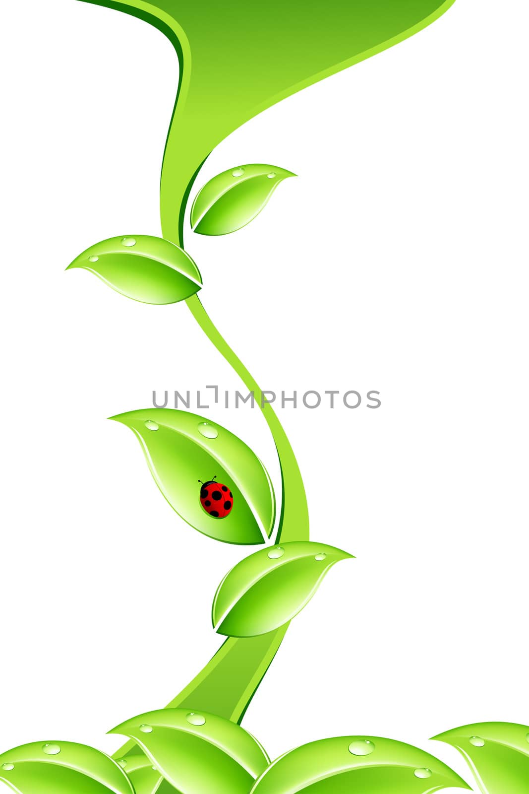 Abstract nature concept in green color with Ladybird