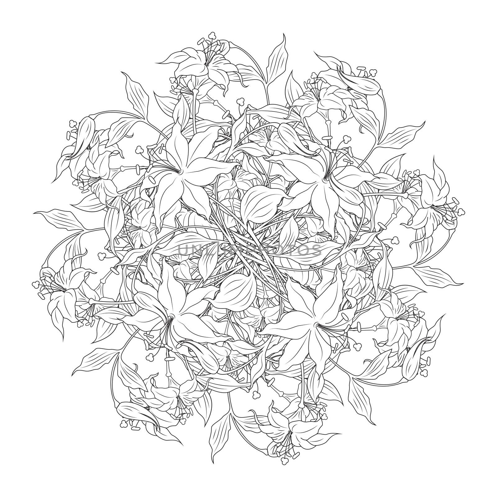 bouquet of flowers in black and white colors, vector illustration