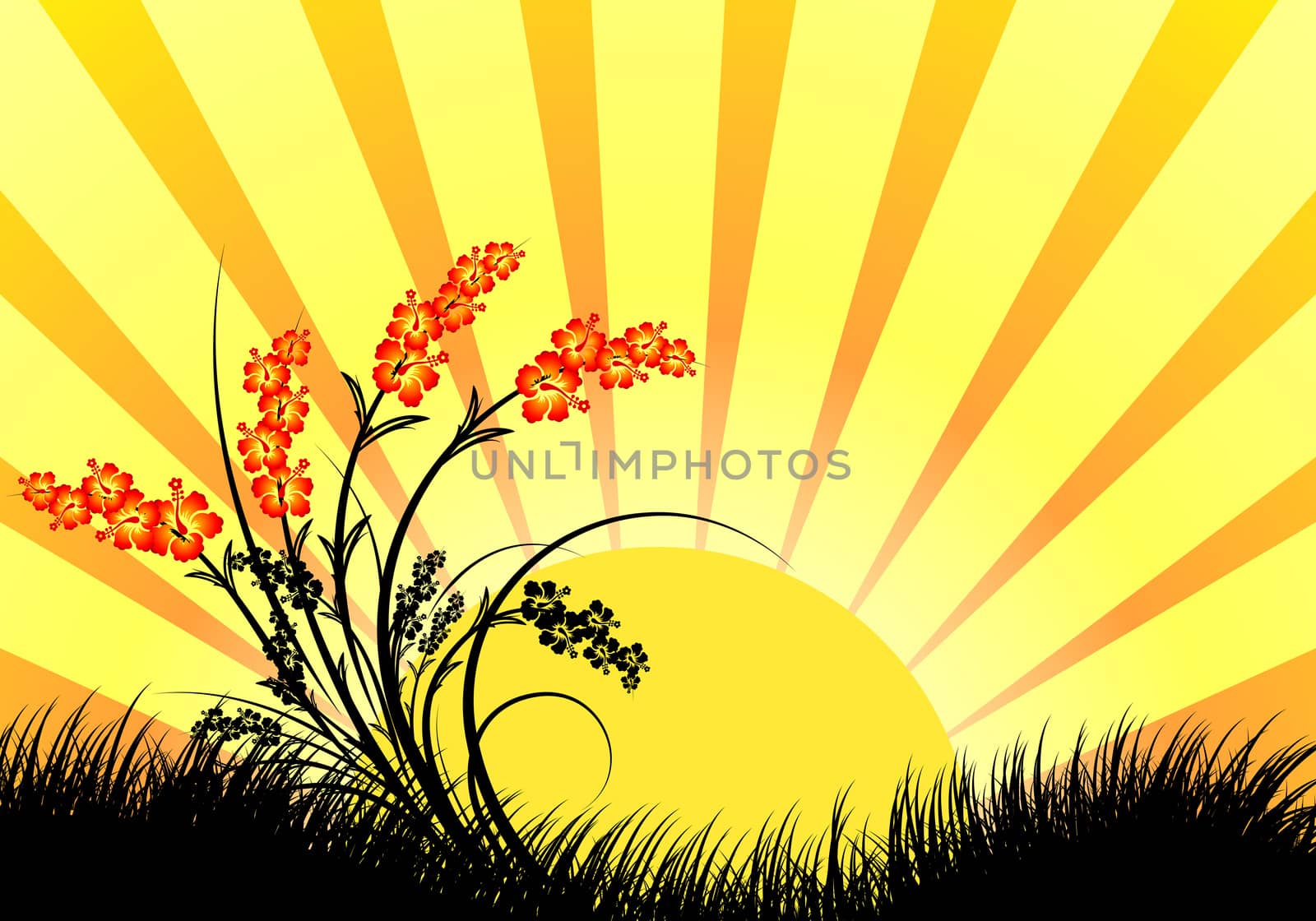 amazing sunset landscape with grass silhouette vector illustration