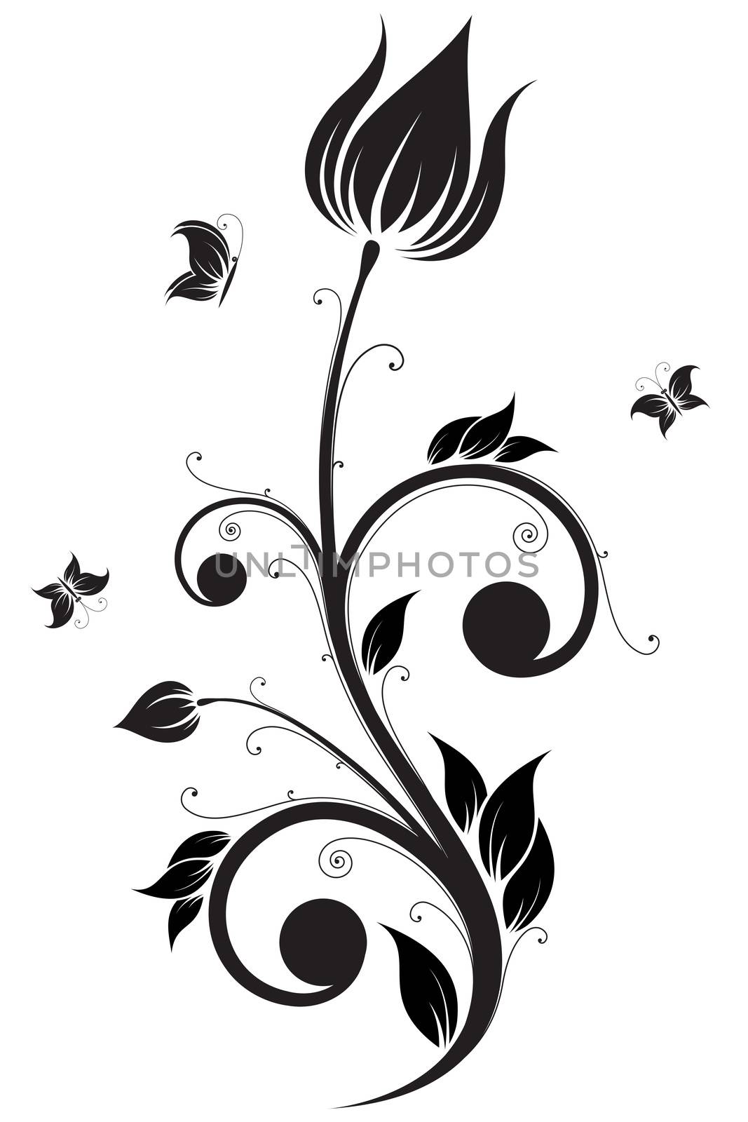 Abstract isolated Flower scroll with Butterfly. Vector illustration