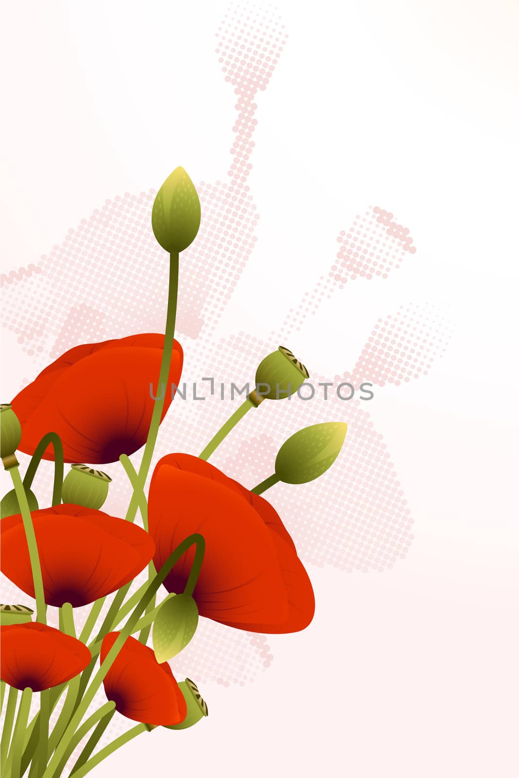 Abstract Background with red poppy flowers for your design