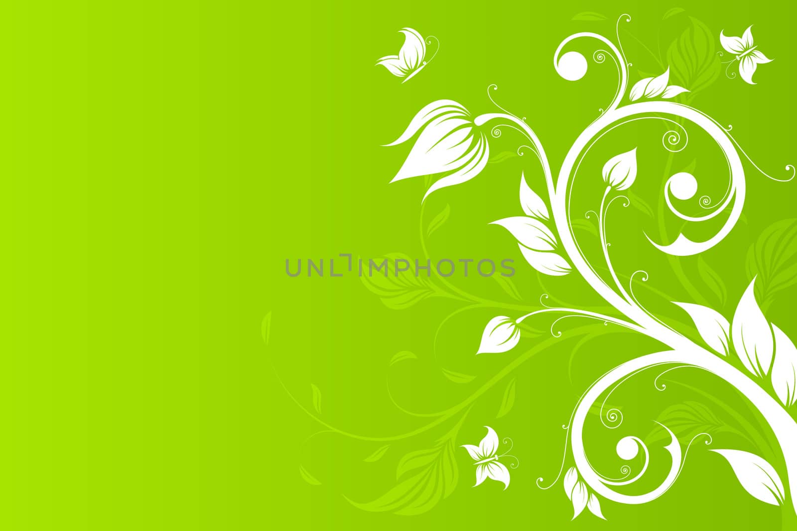 Abstract Background with flowers and butterfly for your design