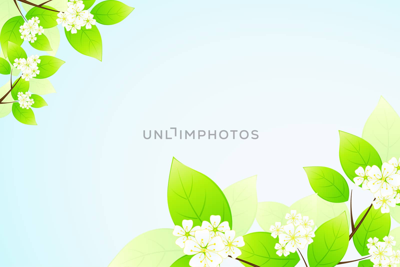 Green Leaves and flowers in blue sky