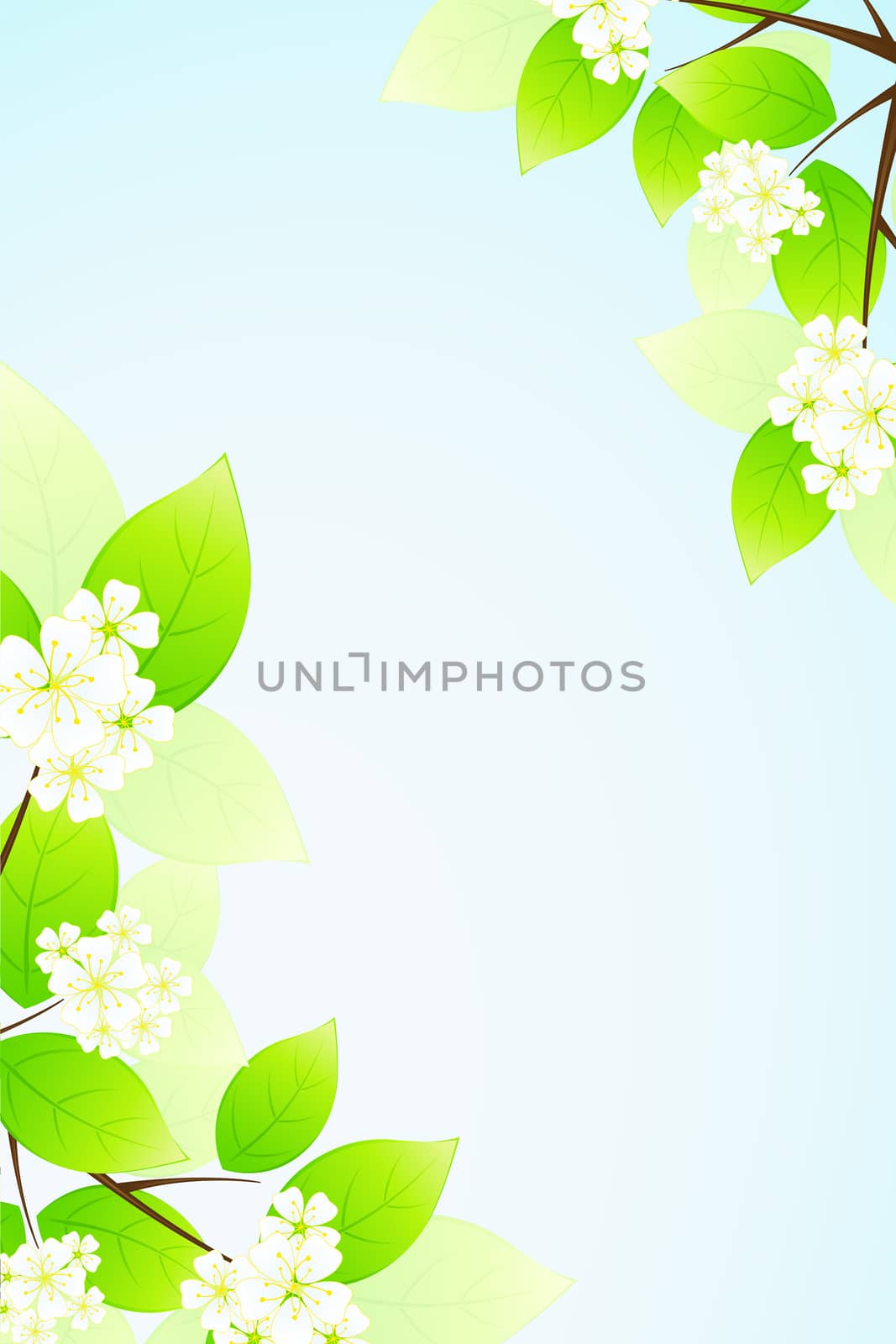 Green Leaves and flowers in blue sky