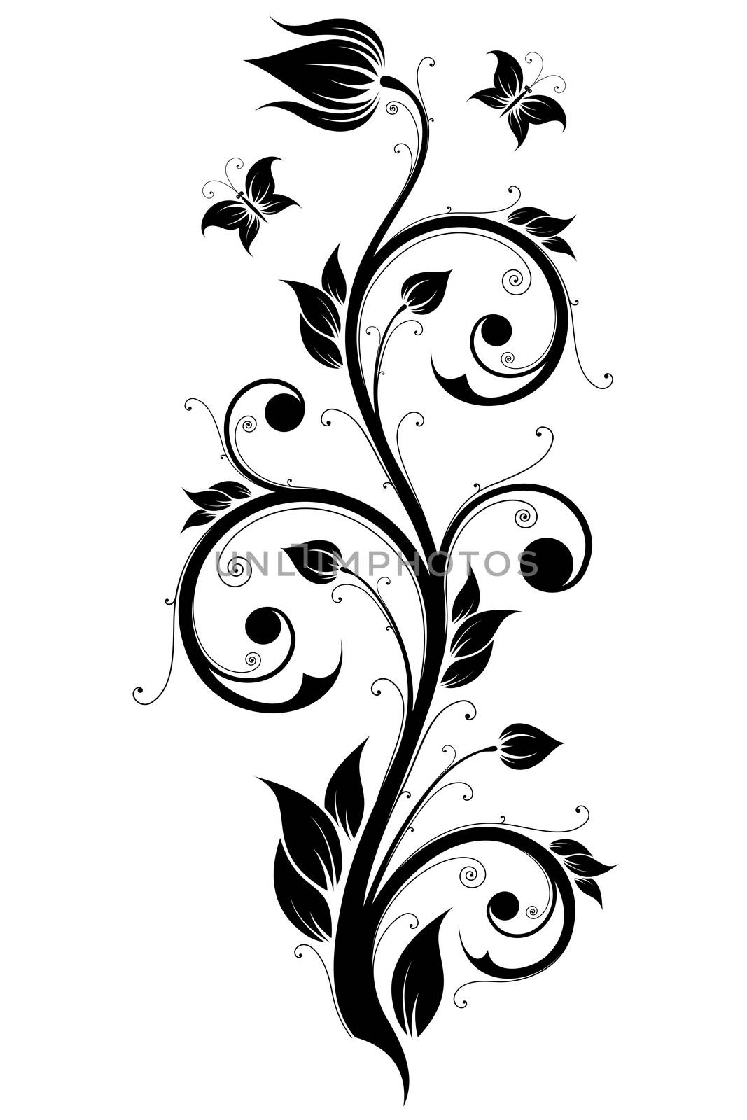 Abstract Design Ornament Element with Flowers and Butterflies