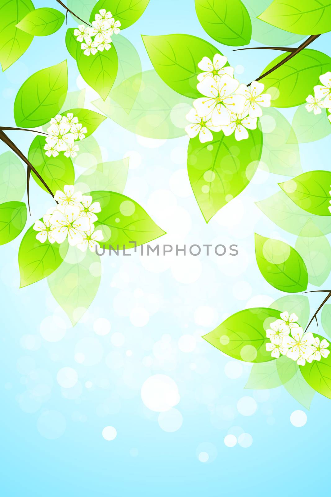 Abstract Background with Sky and Tree Branch