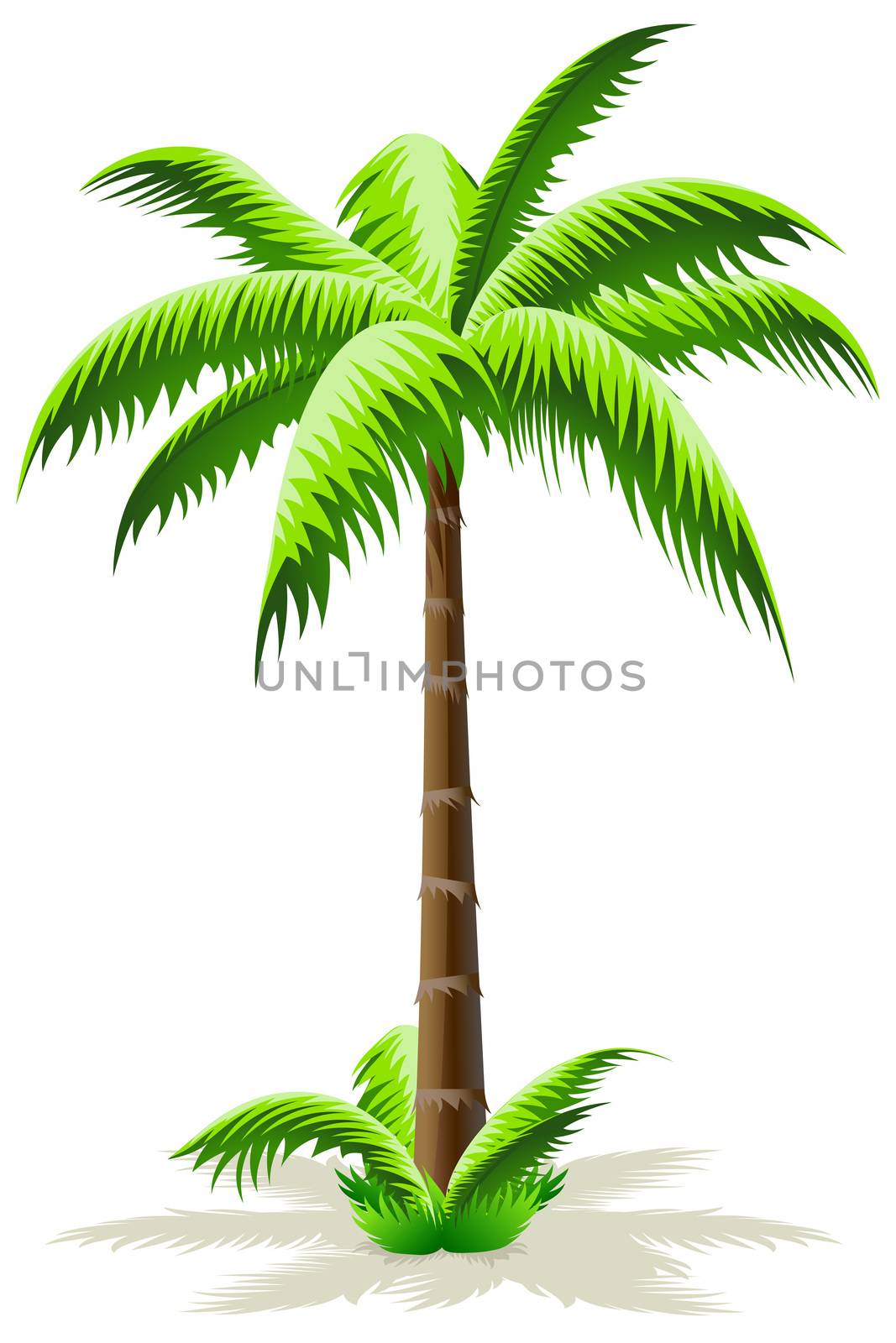 Palm Tree by WaD