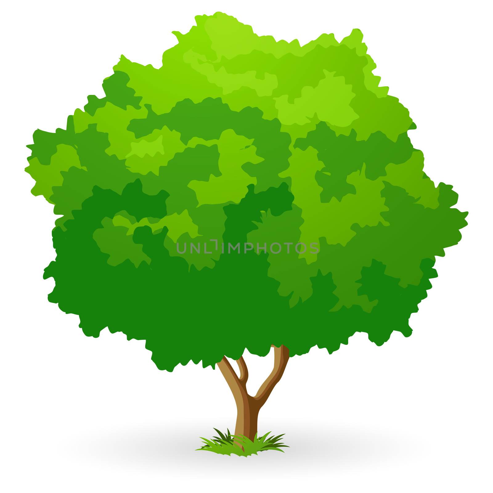 Green Tree by WaD