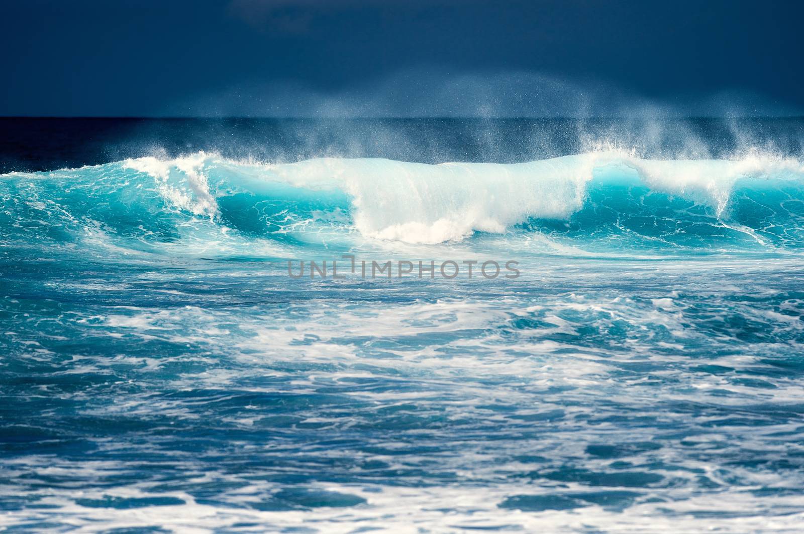 Splash wave on the surface of the ocean