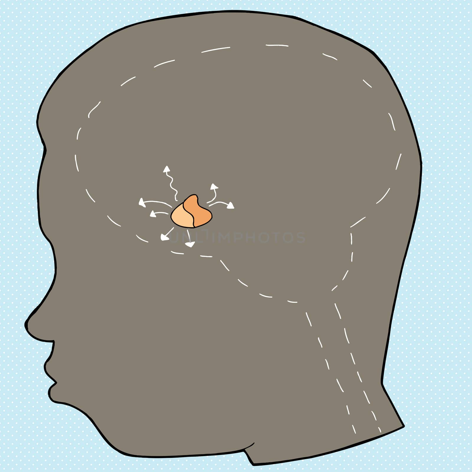 Diagram of pituitary gland in human head