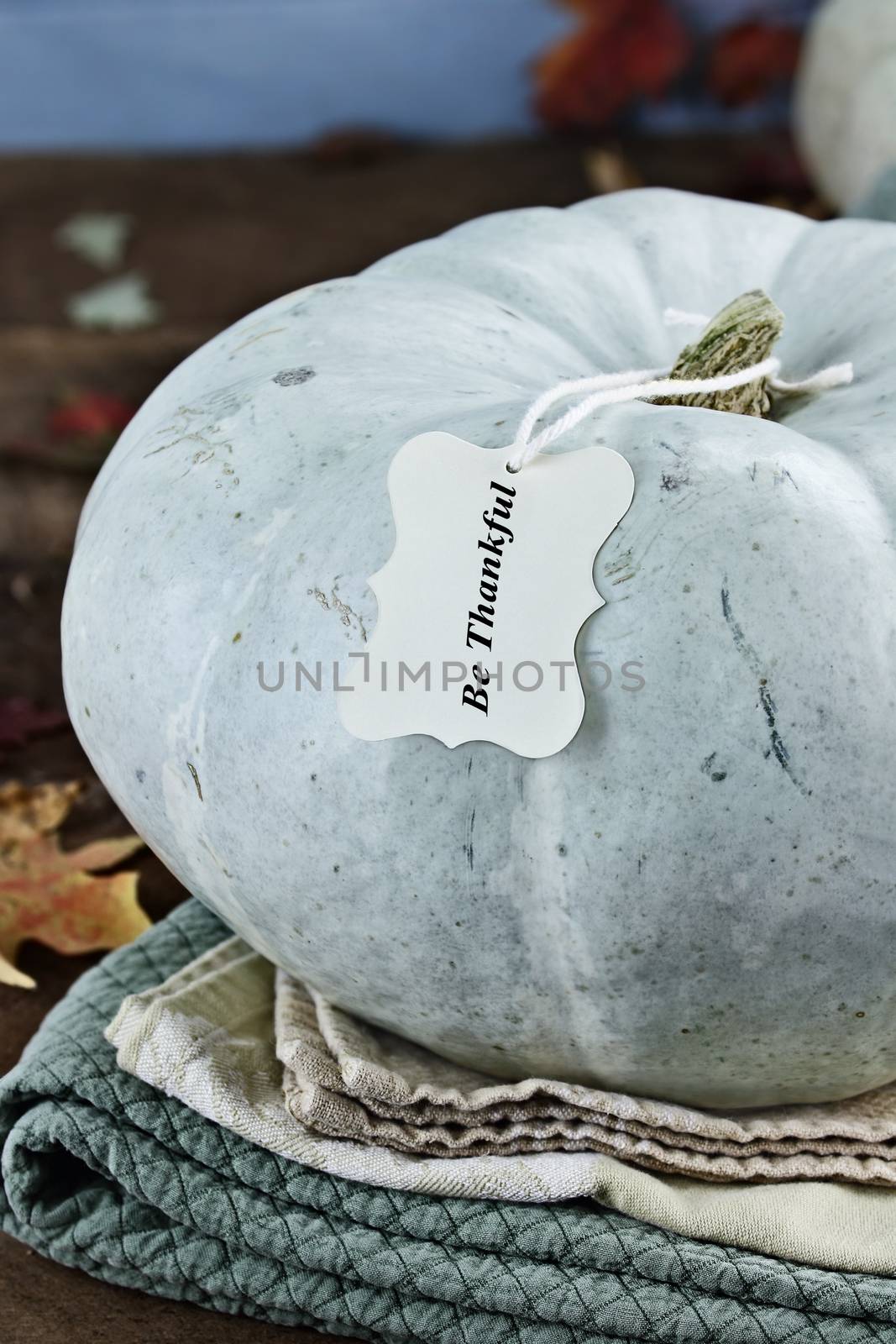 Teal or Blue Colored Pumpkin with Text by StephanieFrey