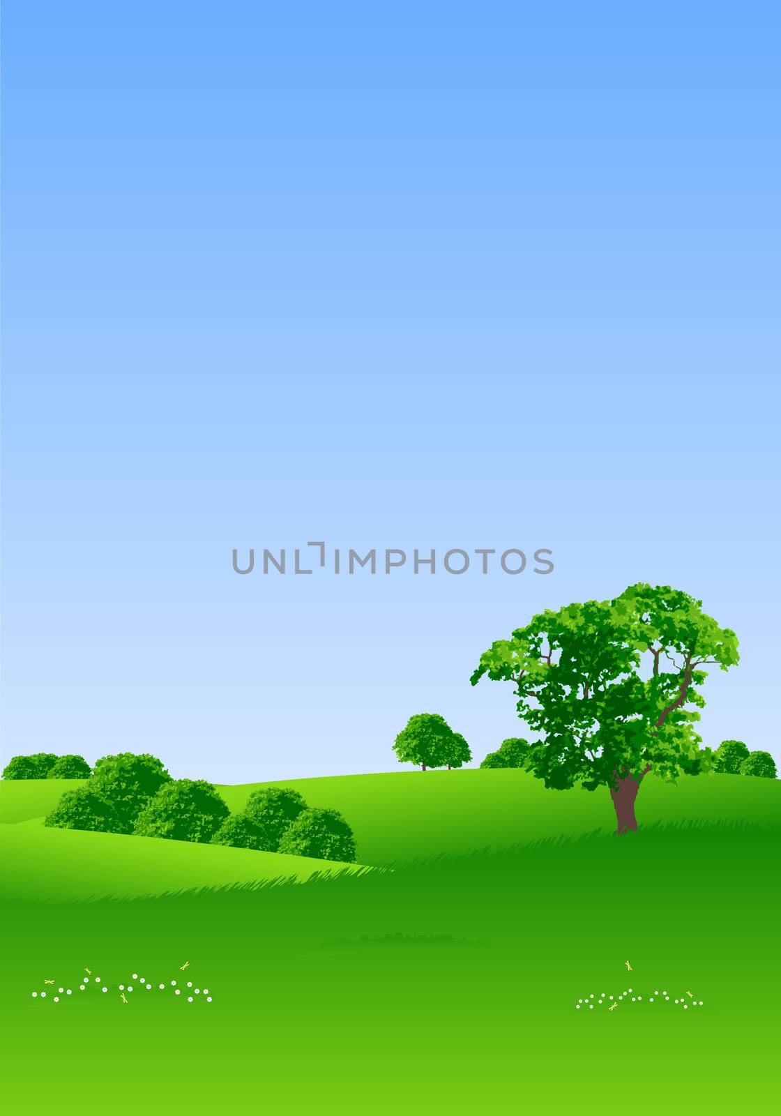 Summer landscape with trees and flowers vector illustration