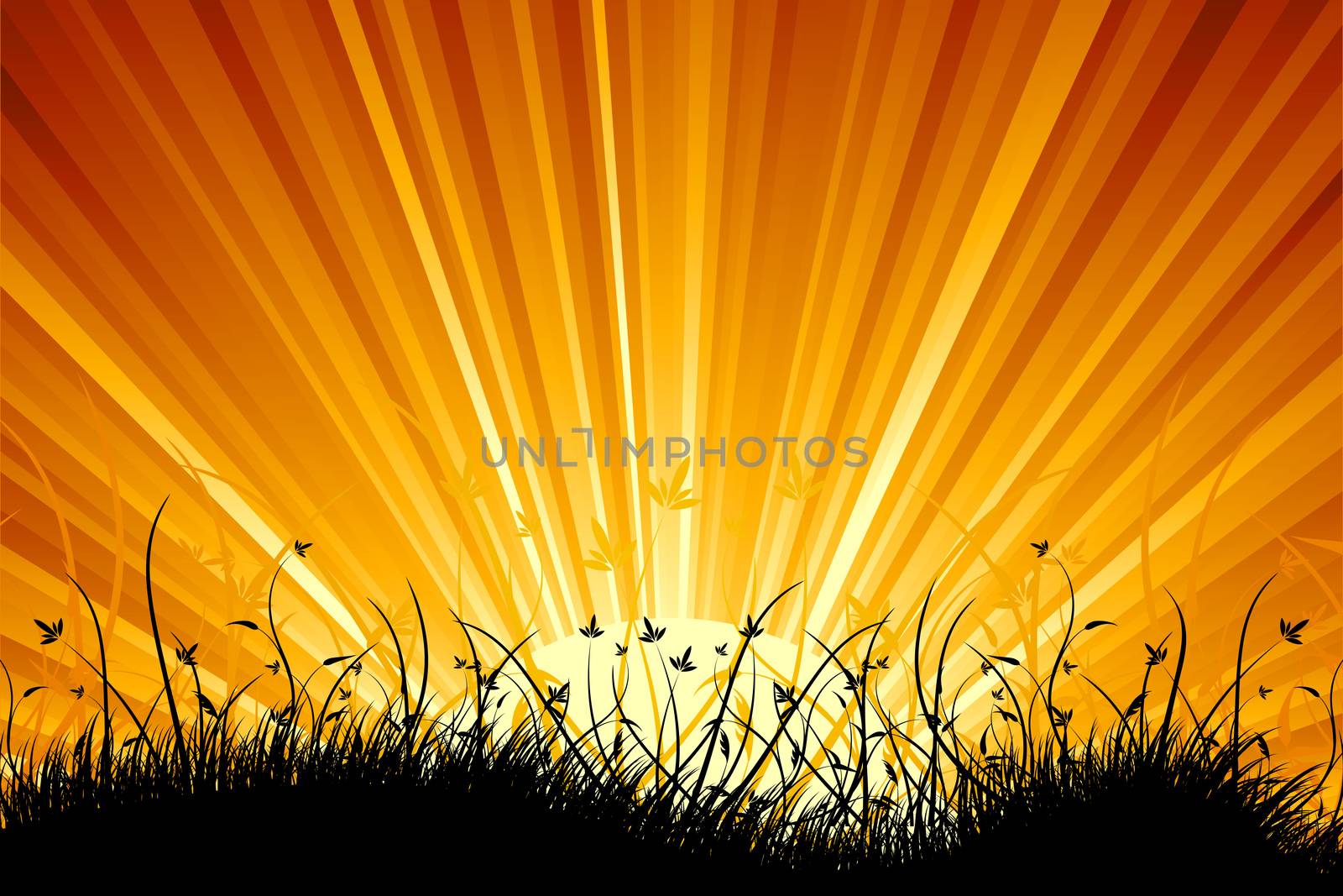 Amazing natural sunrise landscape with grass silhouette for your design