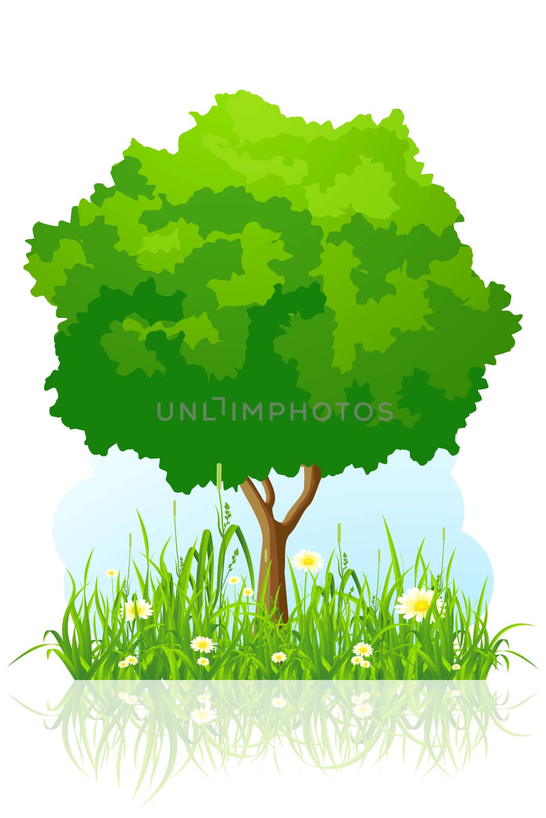 Isolated green tree background by WaD