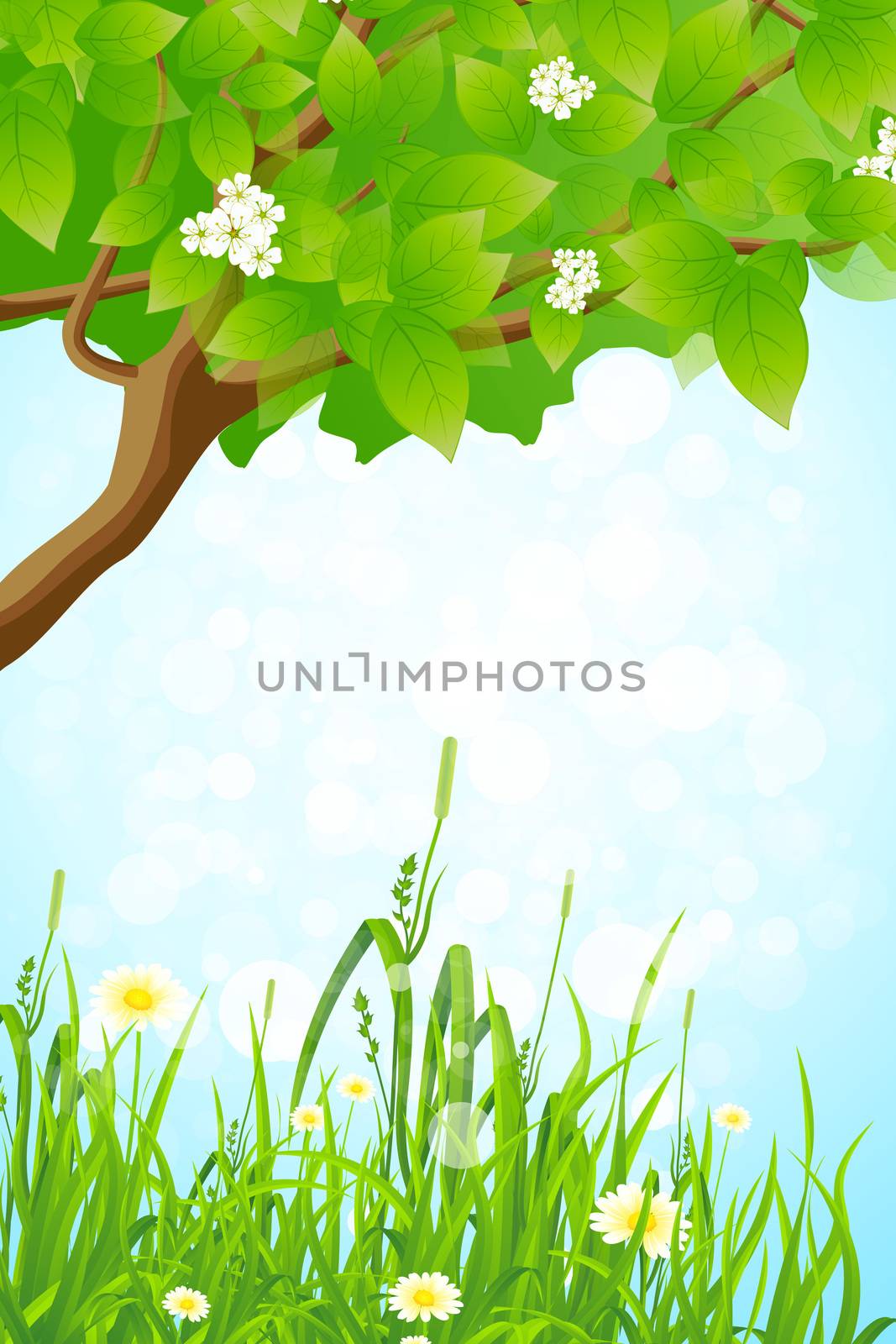 Green Grass and Tree Branch by WaD