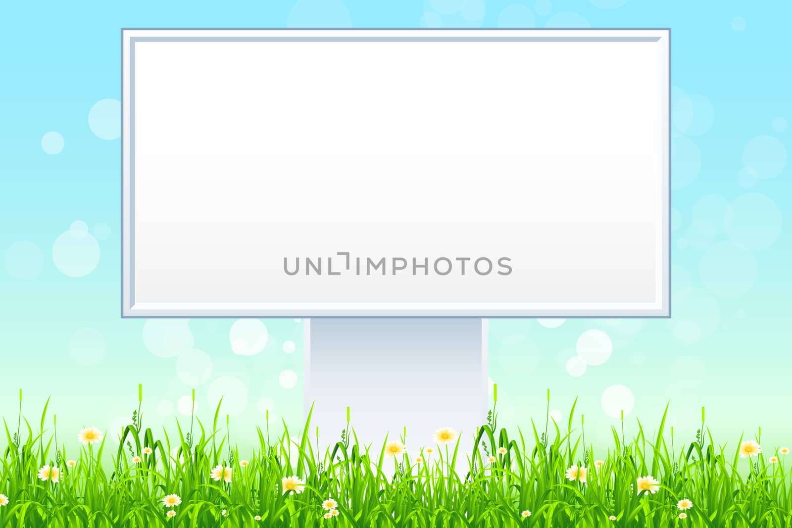 Empty Billboard in the Green Grass with Flowers