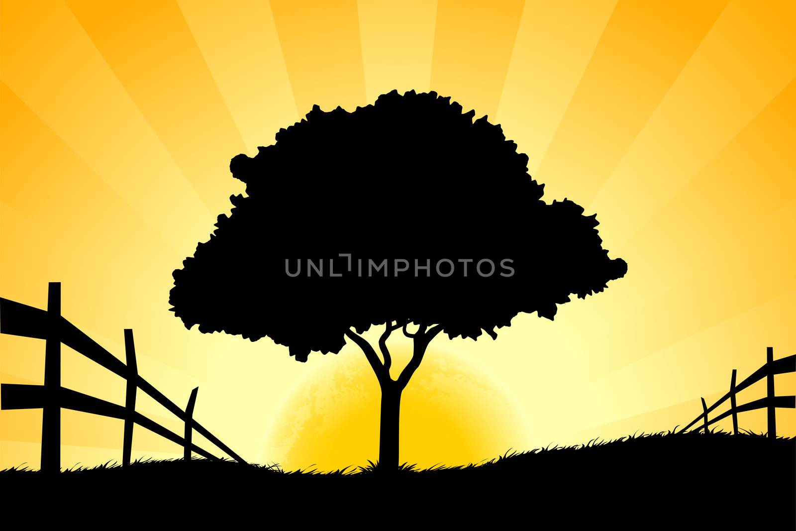 Amazing Landscape with Grass, Sun and Tree